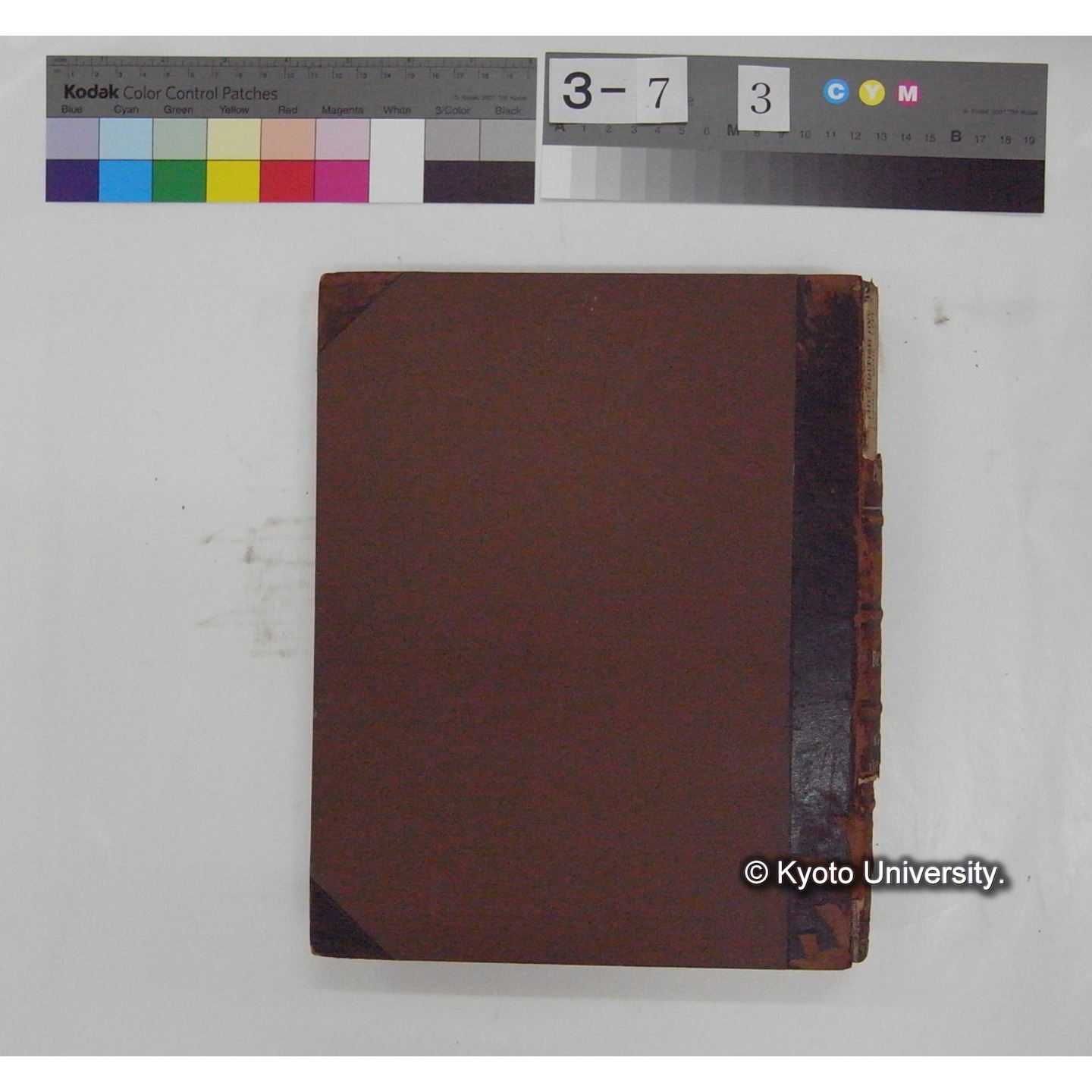 Vergleichende Physiologie (Band10: Nerven. Physiologie) (比較生理学 巻10 神経生理学) [翻訳ノート製本か] (4)