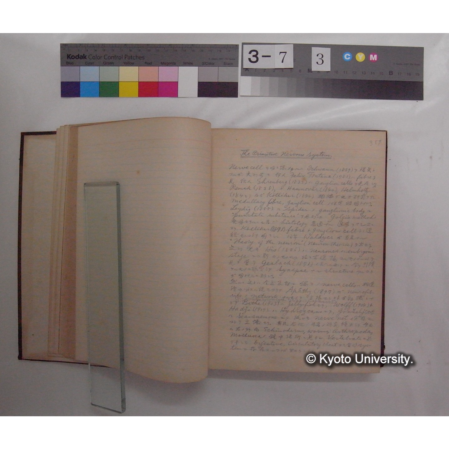 Vergleichende Physiologie (Band10: Nerven. Physiologie) (比較生理学 巻10 神経生理学) [翻訳ノート製本か] (7)