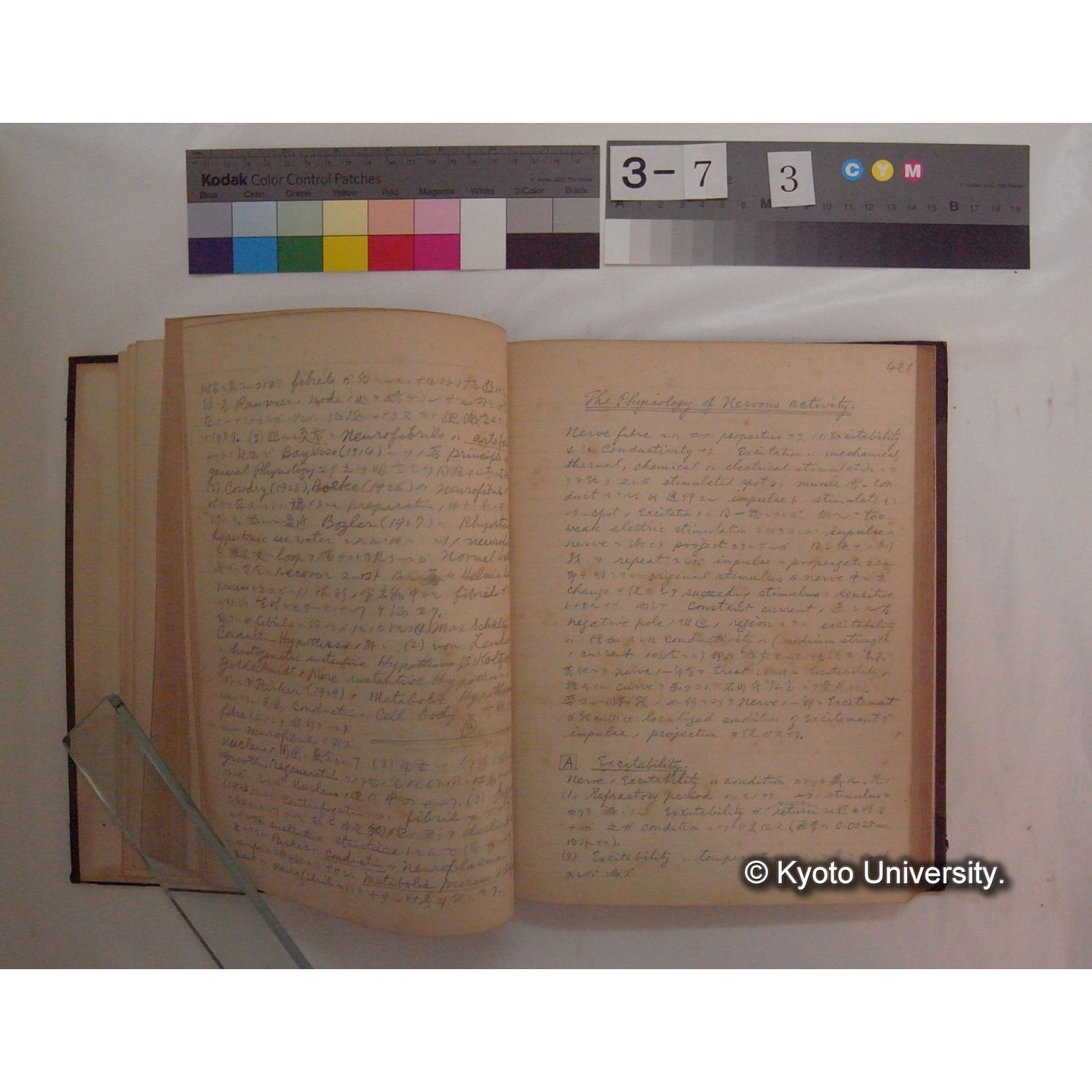 Vergleichende Physiologie (Band10: Nerven. Physiologie) (比較生理学 巻10 神経生理学) [翻訳ノート製本か] (11)