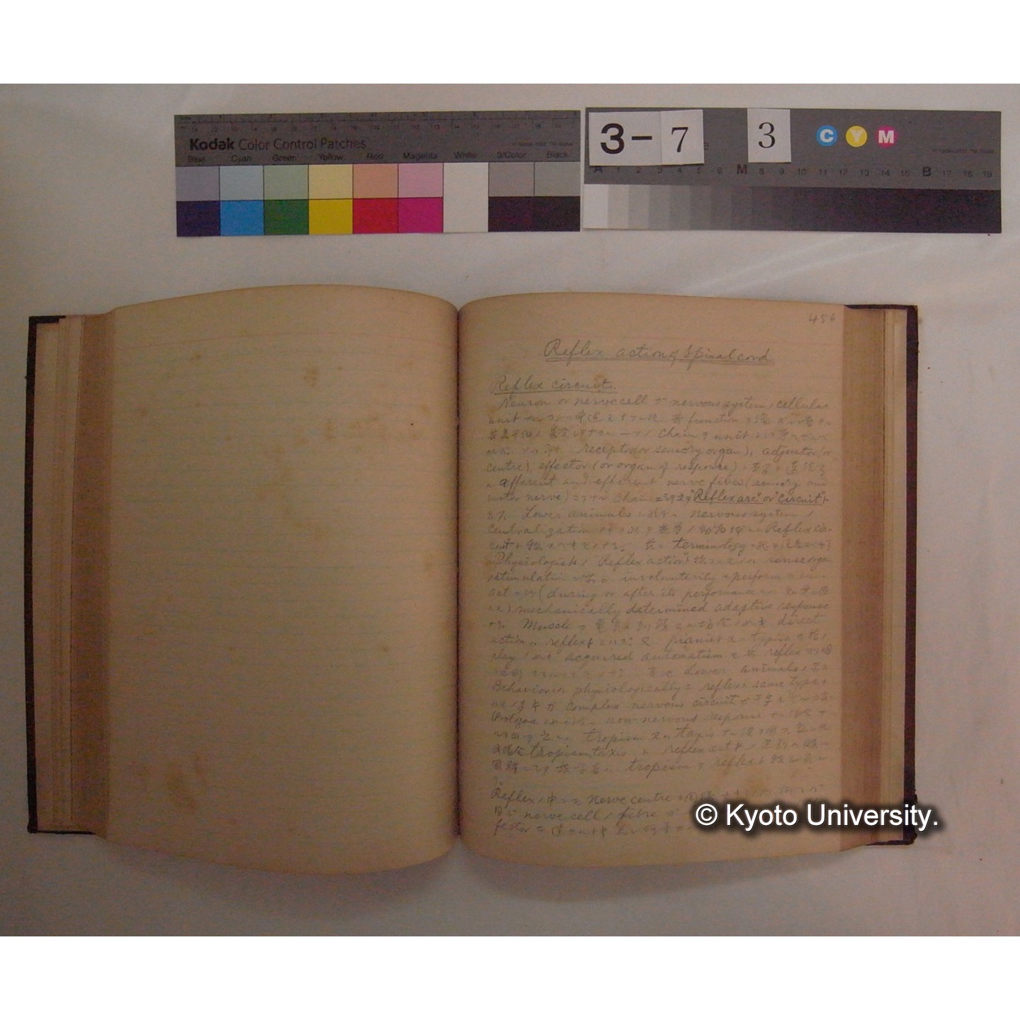 Vergleichende Physiologie (Band10: Nerven. Physiologie) (比較生理学 巻10 神経生理学) [翻訳ノート製本か] (14)