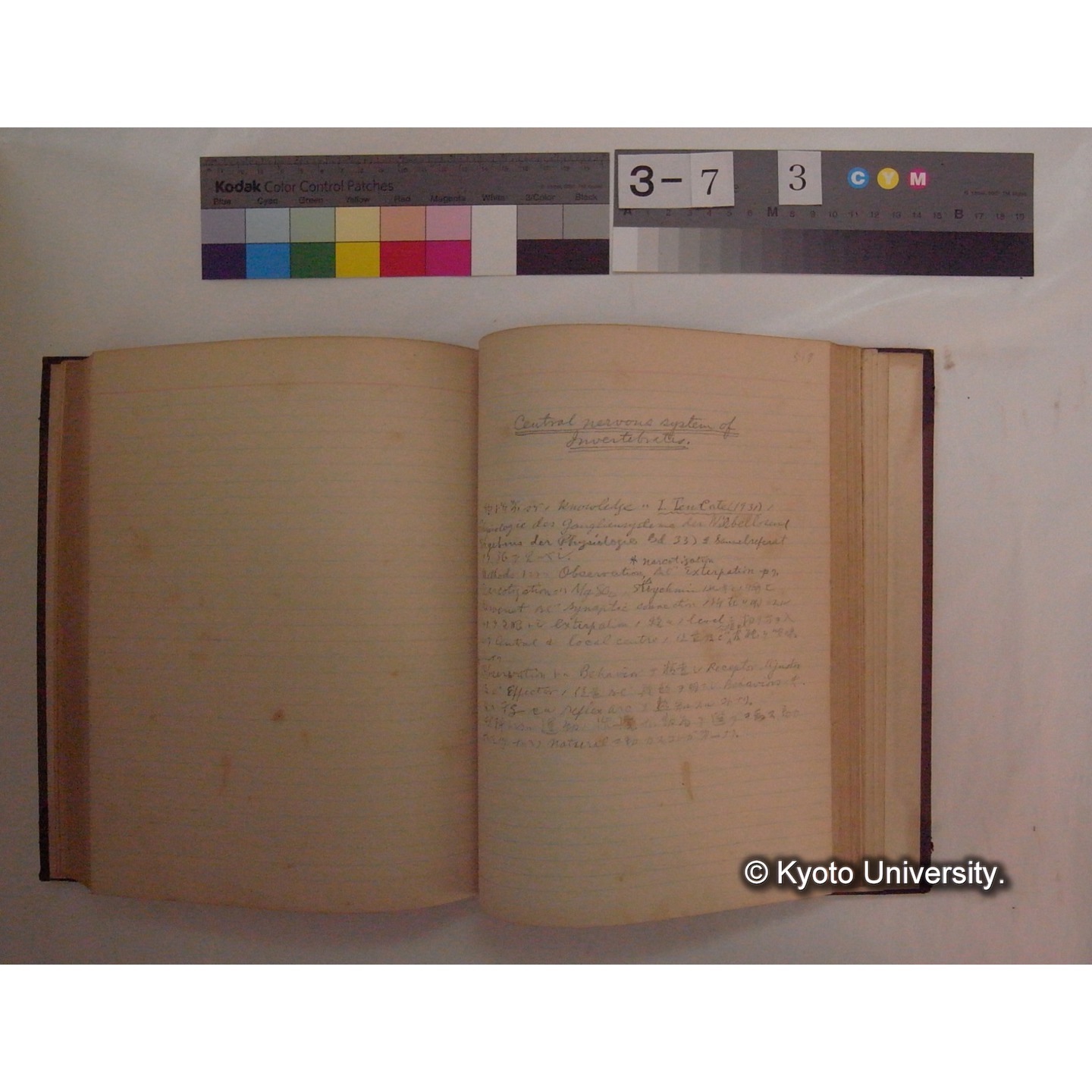 Vergleichende Physiologie (Band10: Nerven. Physiologie) (比較生理学 巻10 神経生理学) [翻訳ノート製本か] (19)