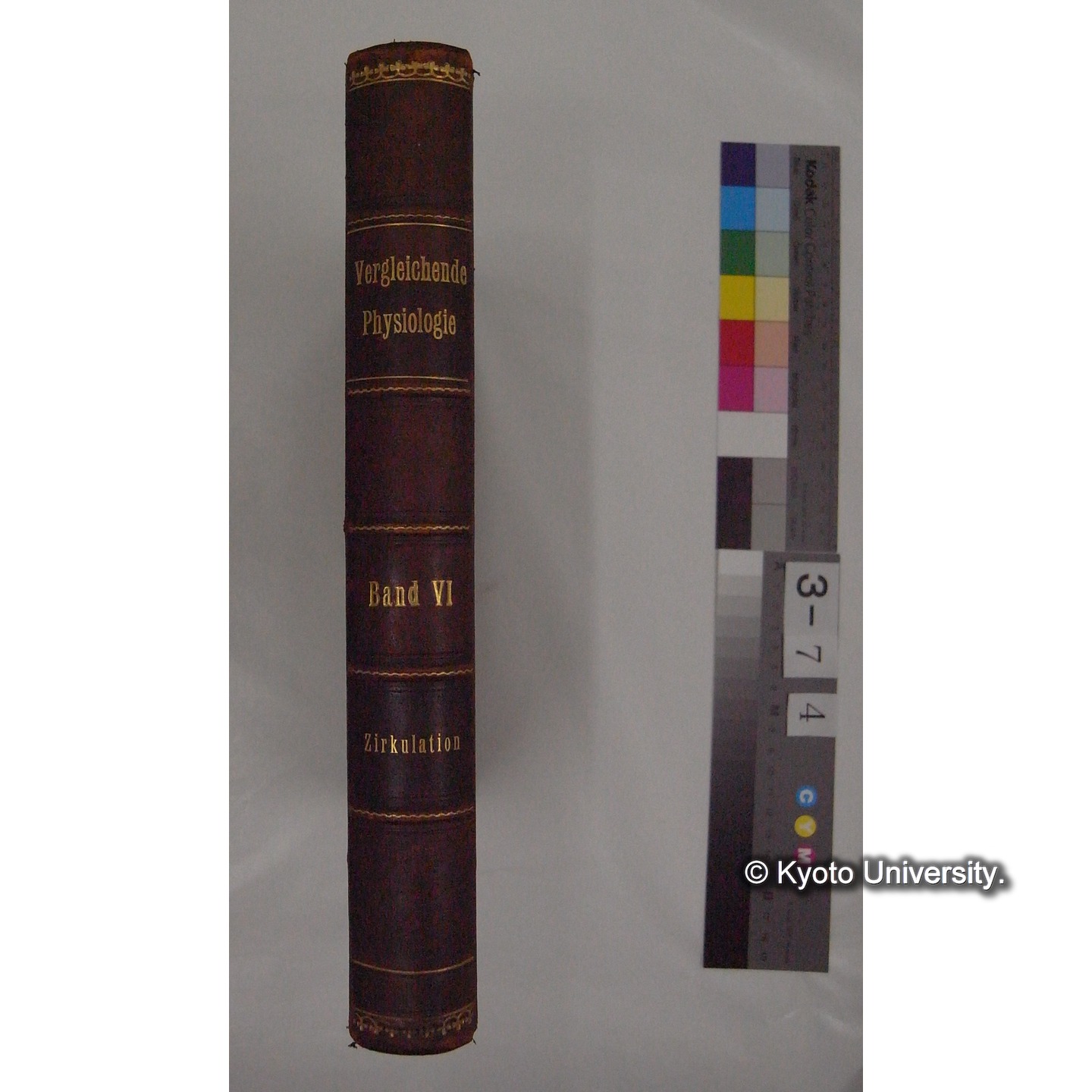 Vergleichende Physiologie (Band6: Zirkulation) (比較生理学 巻6 循環器) [翻訳ノート製本か] (1)