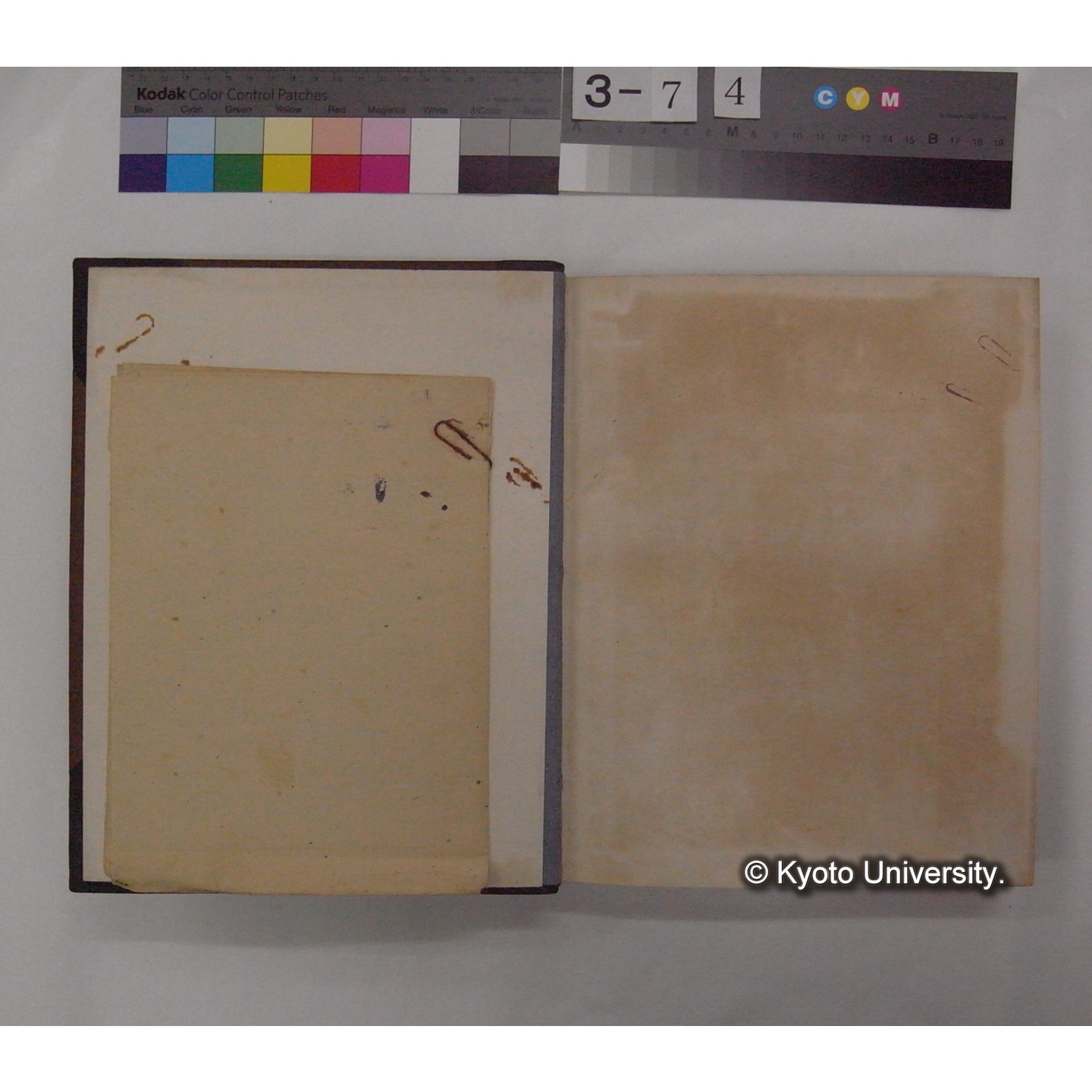 Vergleichende Physiologie (Band6: Zirkulation) (比較生理学 巻6 循環器) [翻訳ノート製本か] (5)