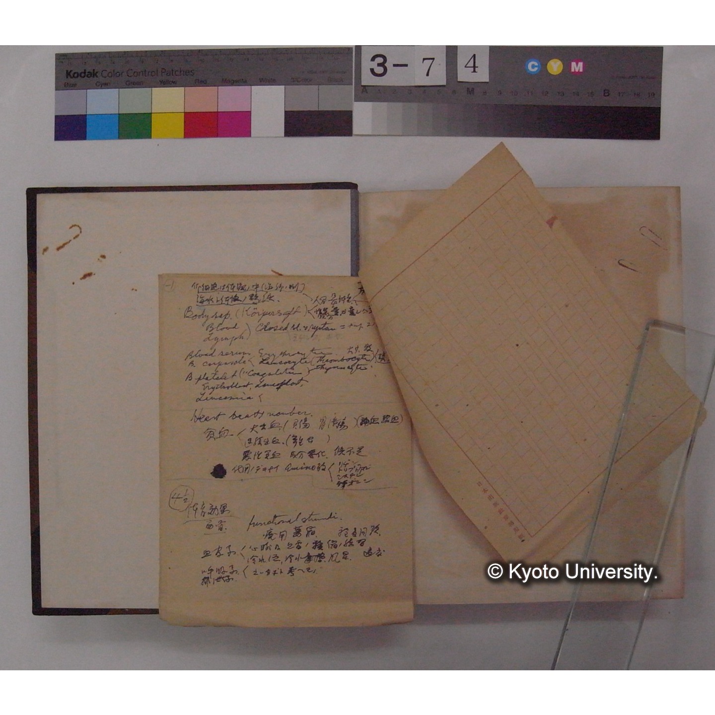 Vergleichende Physiologie (Band6: Zirkulation) (比較生理学 巻6 循環器) [翻訳ノート製本か] (6)