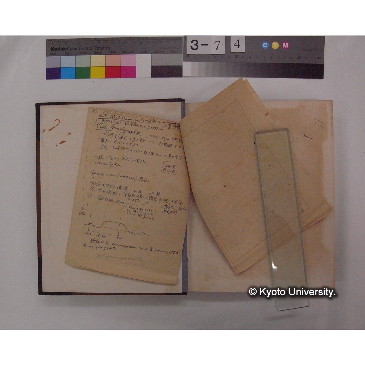 Vergleichende Physiologie (Band6: Zirkulation) (比較生理学 巻6 循環器) [翻訳ノート製本か] (8)