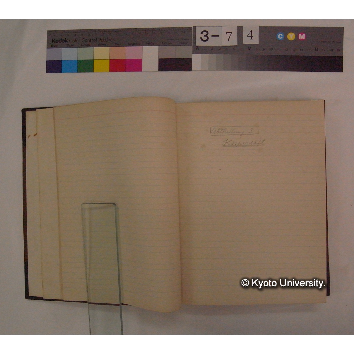 Vergleichende Physiologie (Band6: Zirkulation) (比較生理学 巻6 循環器) [翻訳ノート製本か] (10)