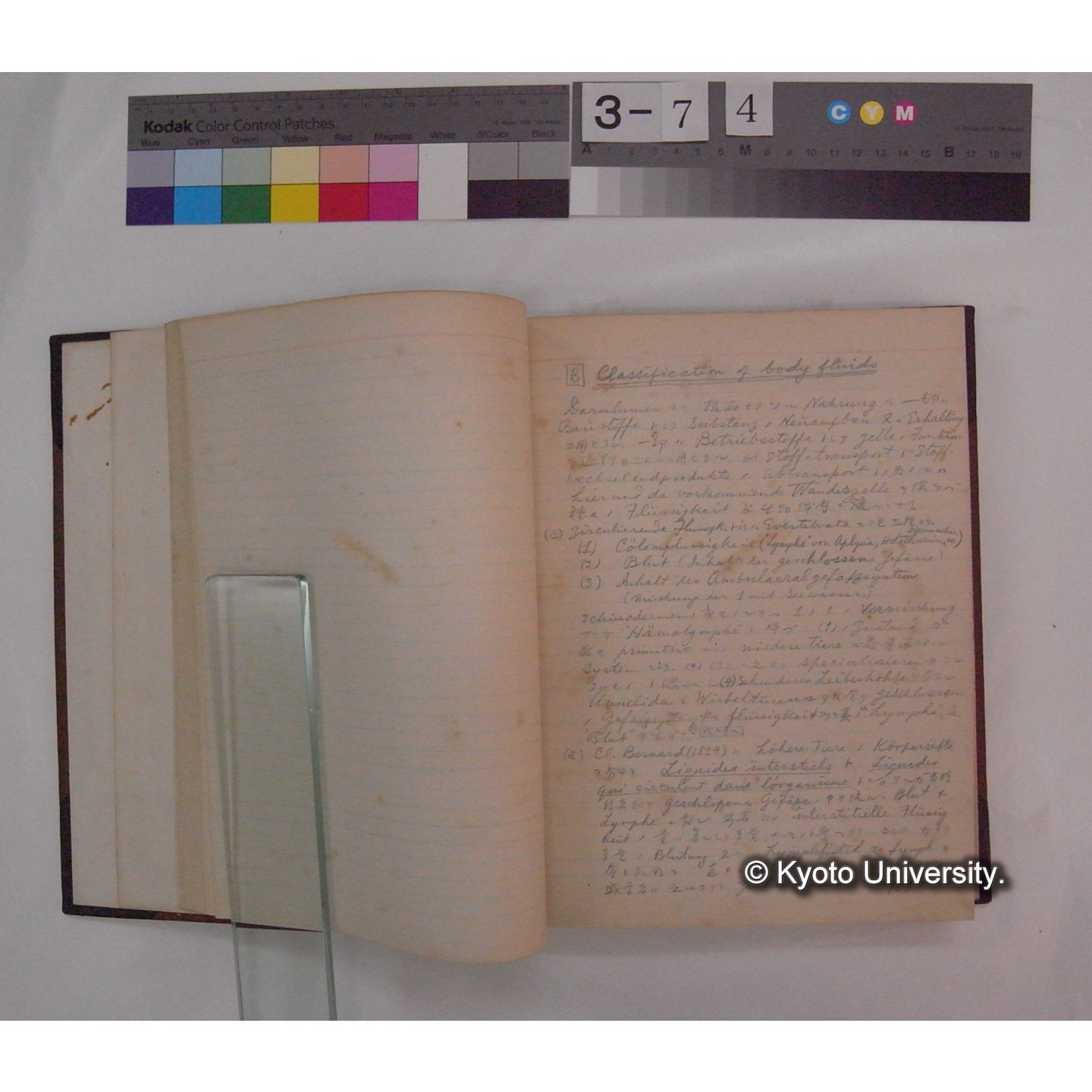 Vergleichende Physiologie (Band6: Zirkulation) (比較生理学 巻6 循環器) [翻訳ノート製本か] (11)