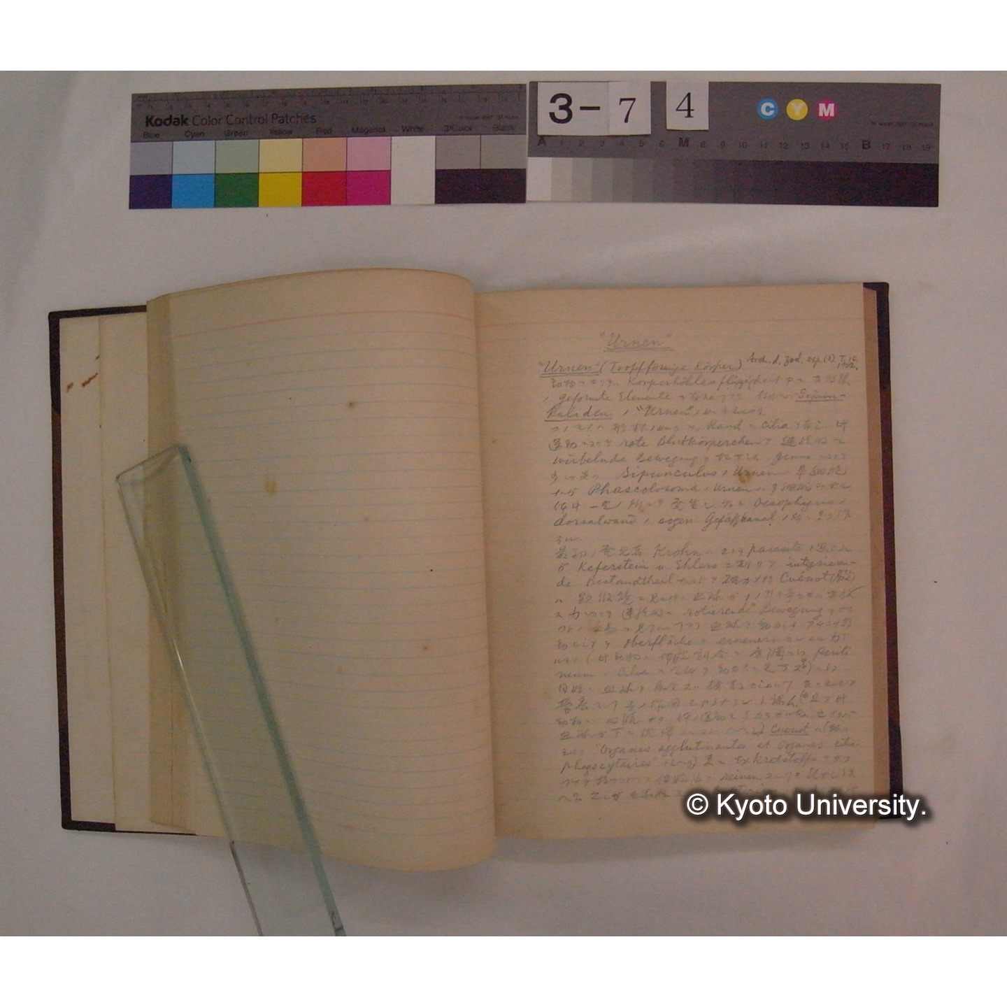 Vergleichende Physiologie (Band6: Zirkulation) (比較生理学 巻6 循環器) [翻訳ノート製本か] (13)