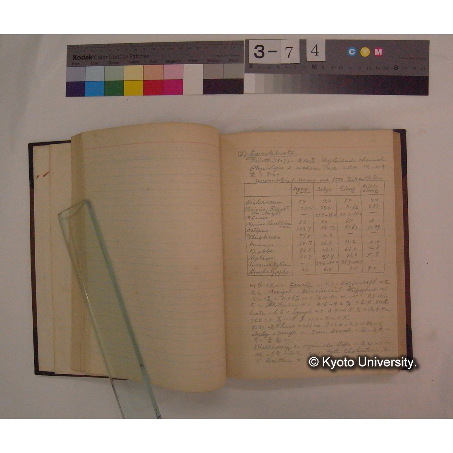 Vergleichende Physiologie (Band6: Zirkulation) (比較生理学 巻6 循環器) [翻訳ノート製本か] (14)