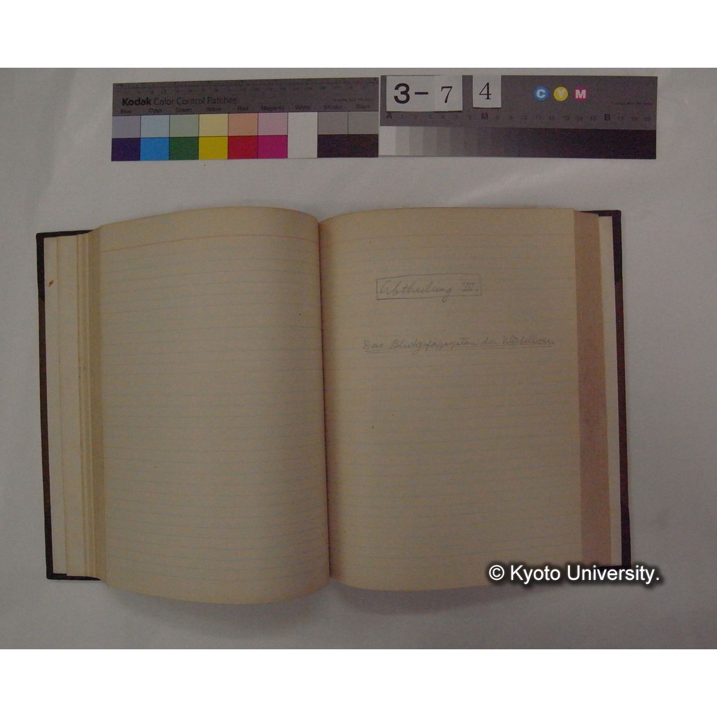 Vergleichende Physiologie (Band6: Zirkulation) (比較生理学 巻6 循環器) [翻訳ノート製本か] (17)