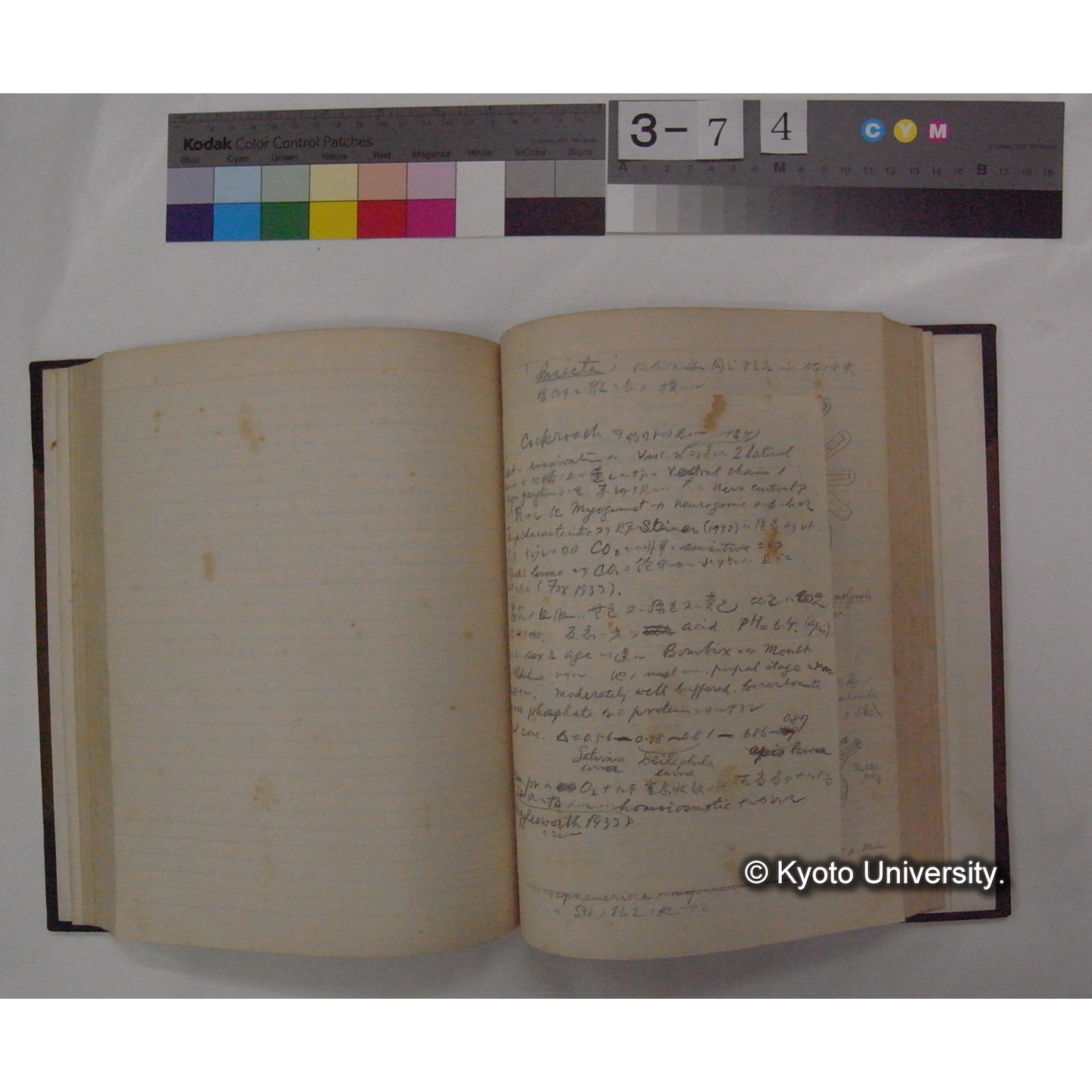 Vergleichende Physiologie (Band6: Zirkulation) (比較生理学 巻6 循環器) [翻訳ノート製本か] (20)