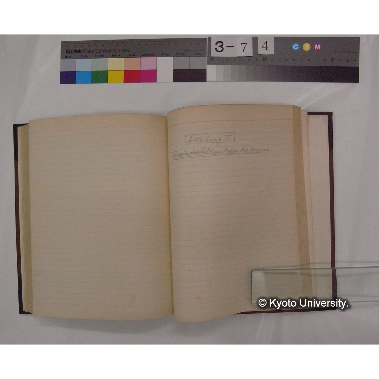 Vergleichende Physiologie (Band6: Zirkulation) (比較生理学 巻6 循環器) [翻訳ノート製本か] (23)