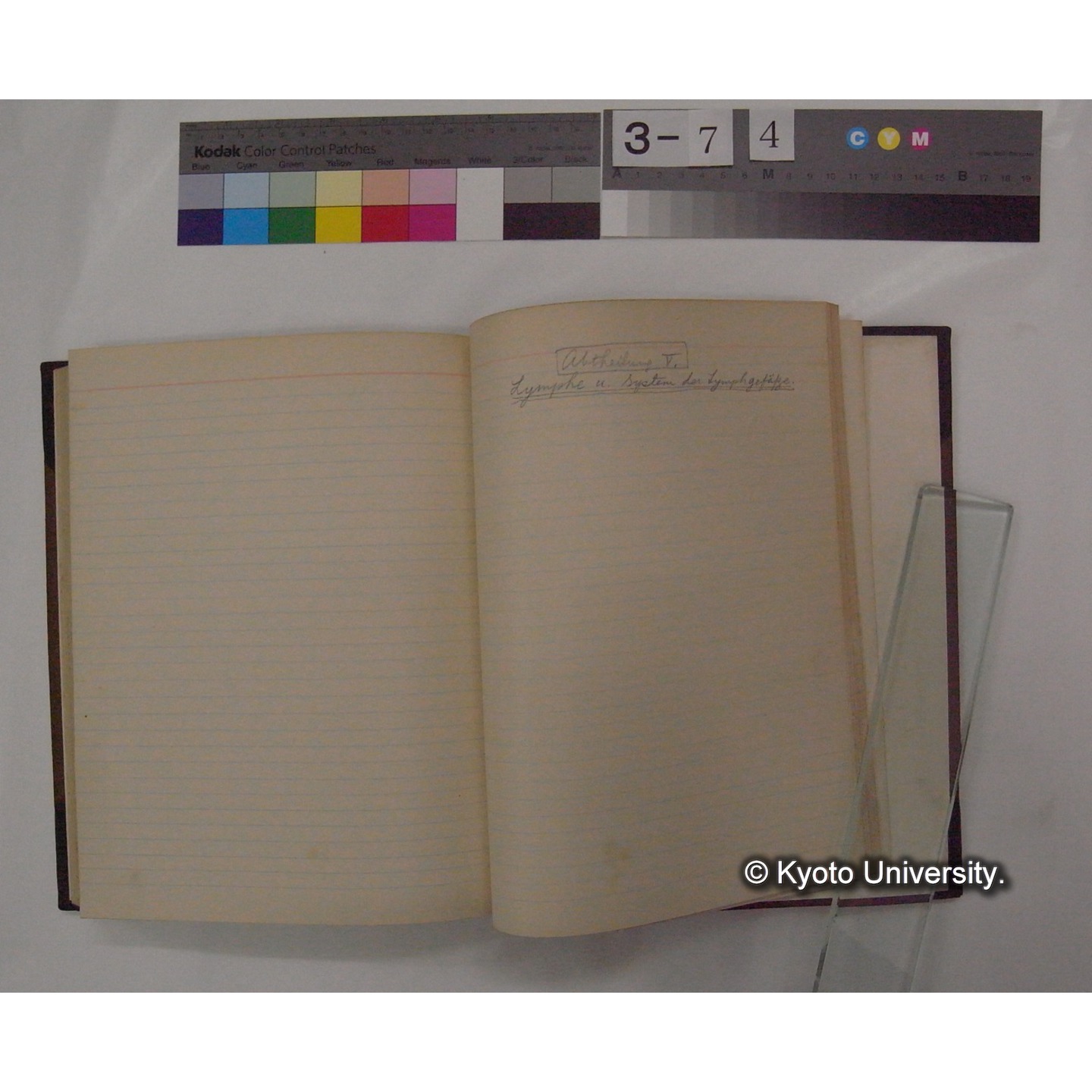 Vergleichende Physiologie (Band6: Zirkulation) (比較生理学 巻6 循環器) [翻訳ノート製本か] (25)