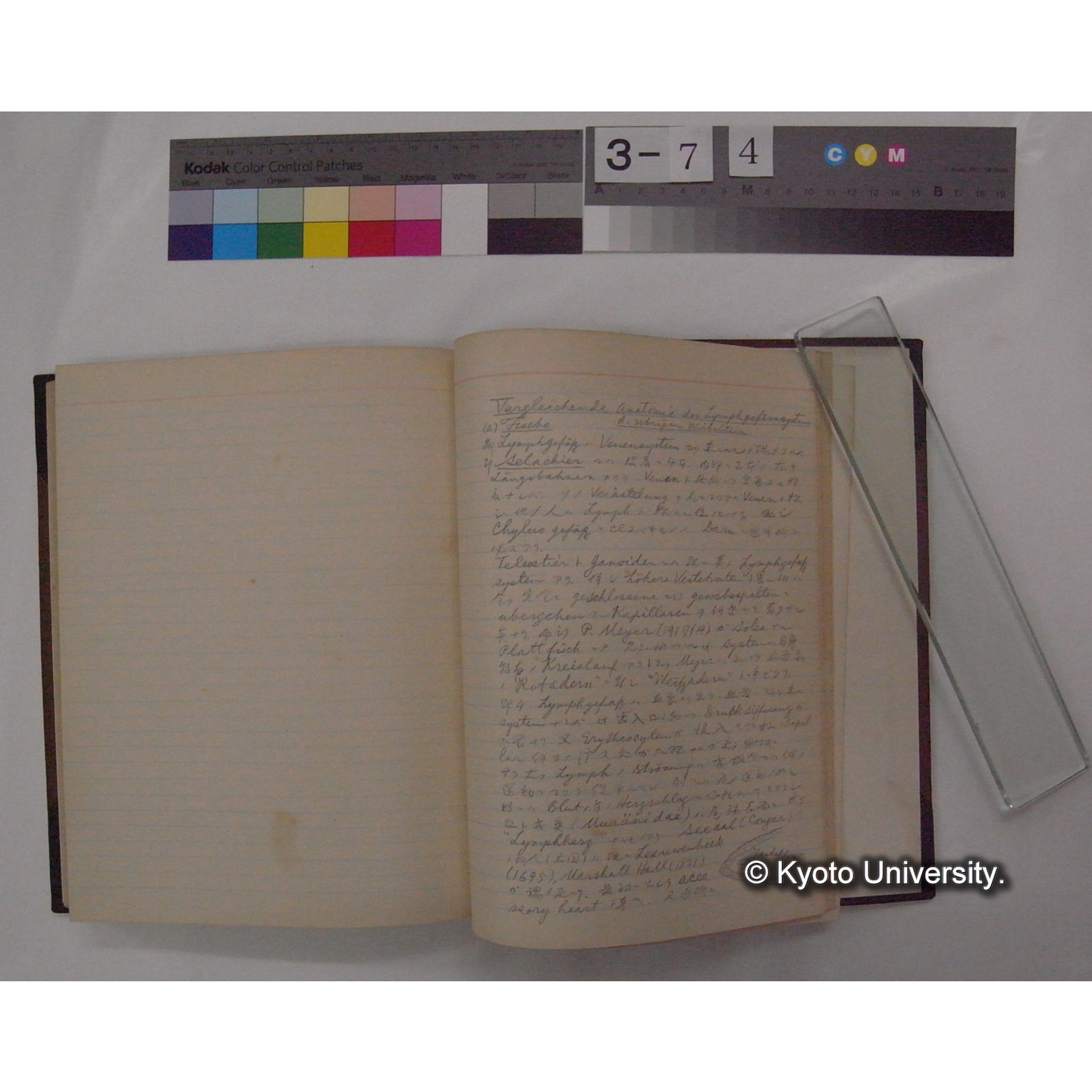 Vergleichende Physiologie (Band6: Zirkulation) (比較生理学 巻6 循環器) [翻訳ノート製本か] (26)