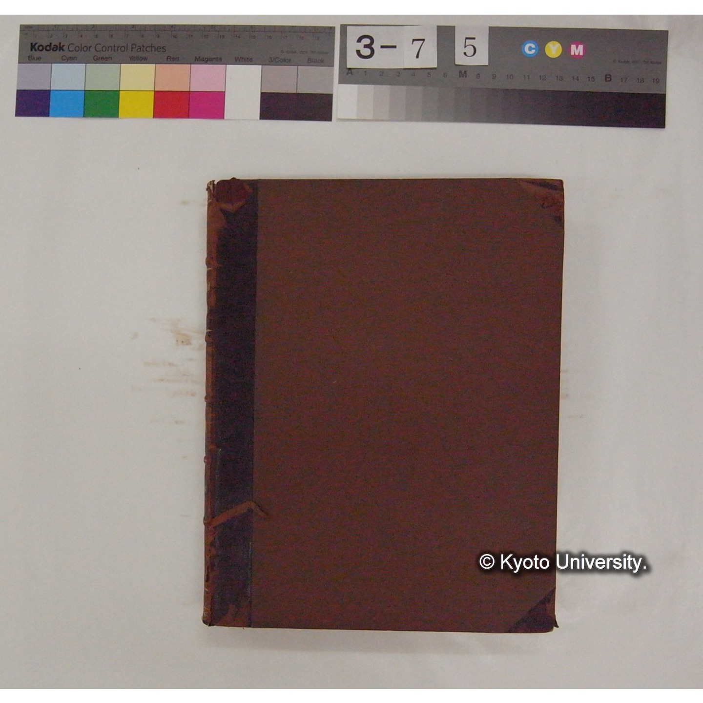 Vergleichende Physiologie (Band4: Respiration) (比較生理学 巻4 呼吸) [翻訳ノート製本か] (2)