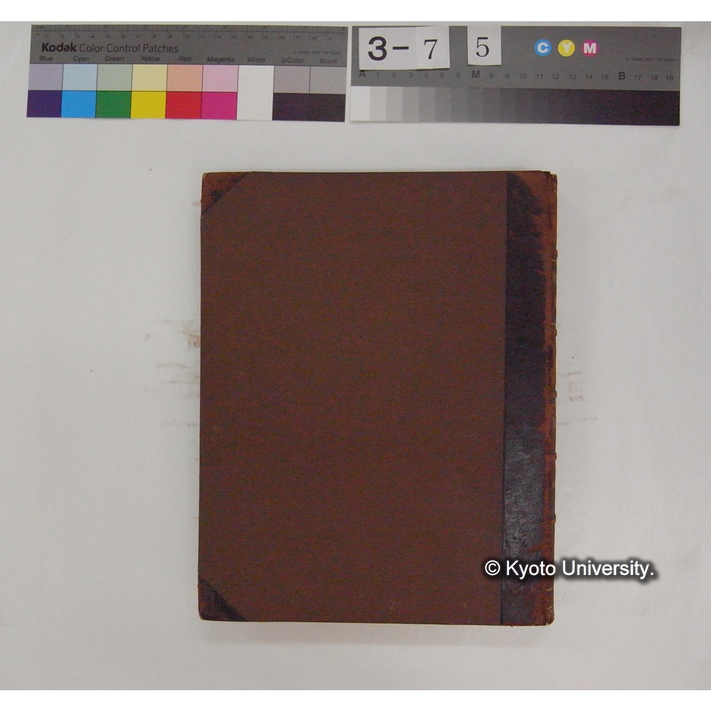 Vergleichende Physiologie (Band4: Respiration) (比較生理学 巻4 呼吸) [翻訳ノート製本か] (3)