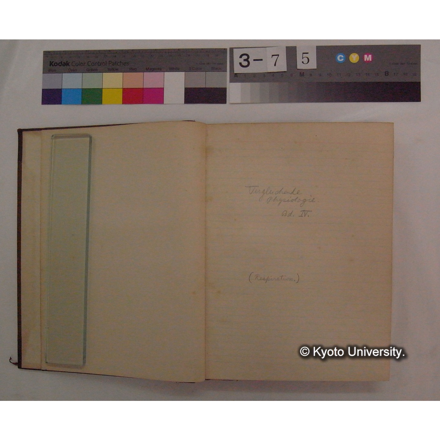 Vergleichende Physiologie (Band4: Respiration) (比較生理学 巻4 呼吸) [翻訳ノート製本か] (4)