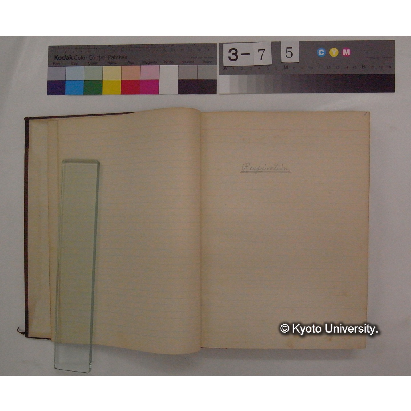 Vergleichende Physiologie (Band4: Respiration) (比較生理学 巻4 呼吸) [翻訳ノート製本か] (5)