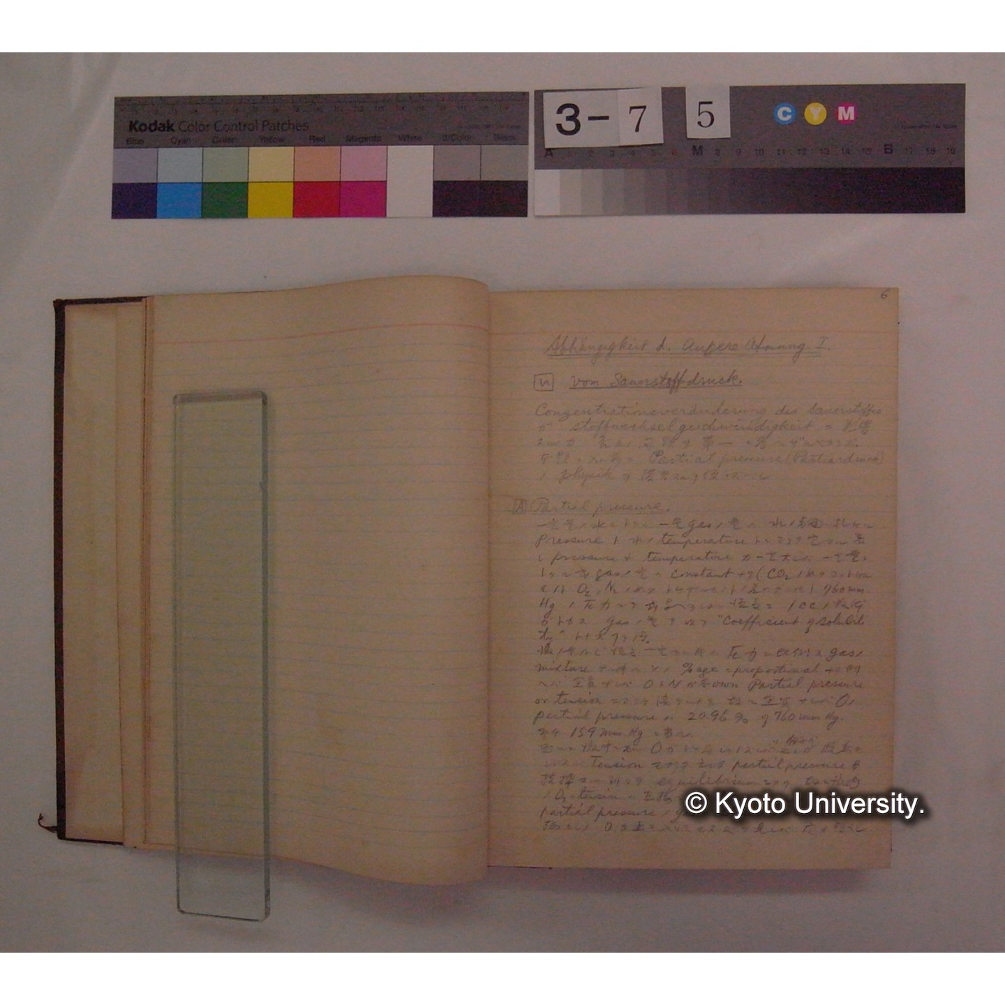 Vergleichende Physiologie (Band4: Respiration) (比較生理学 巻4 呼吸) [翻訳ノート製本か] (7)