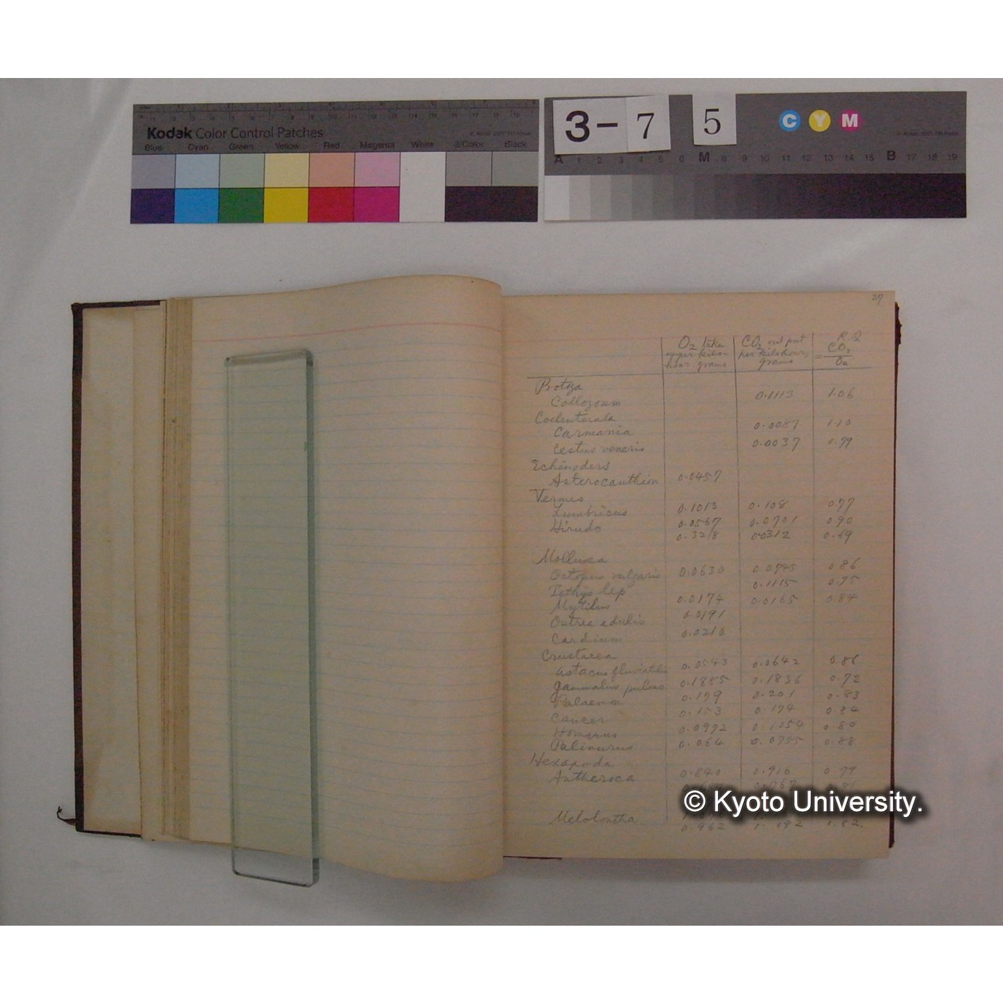 Vergleichende Physiologie (Band4: Respiration) (比較生理学 巻4 呼吸) [翻訳ノート製本か] (8)