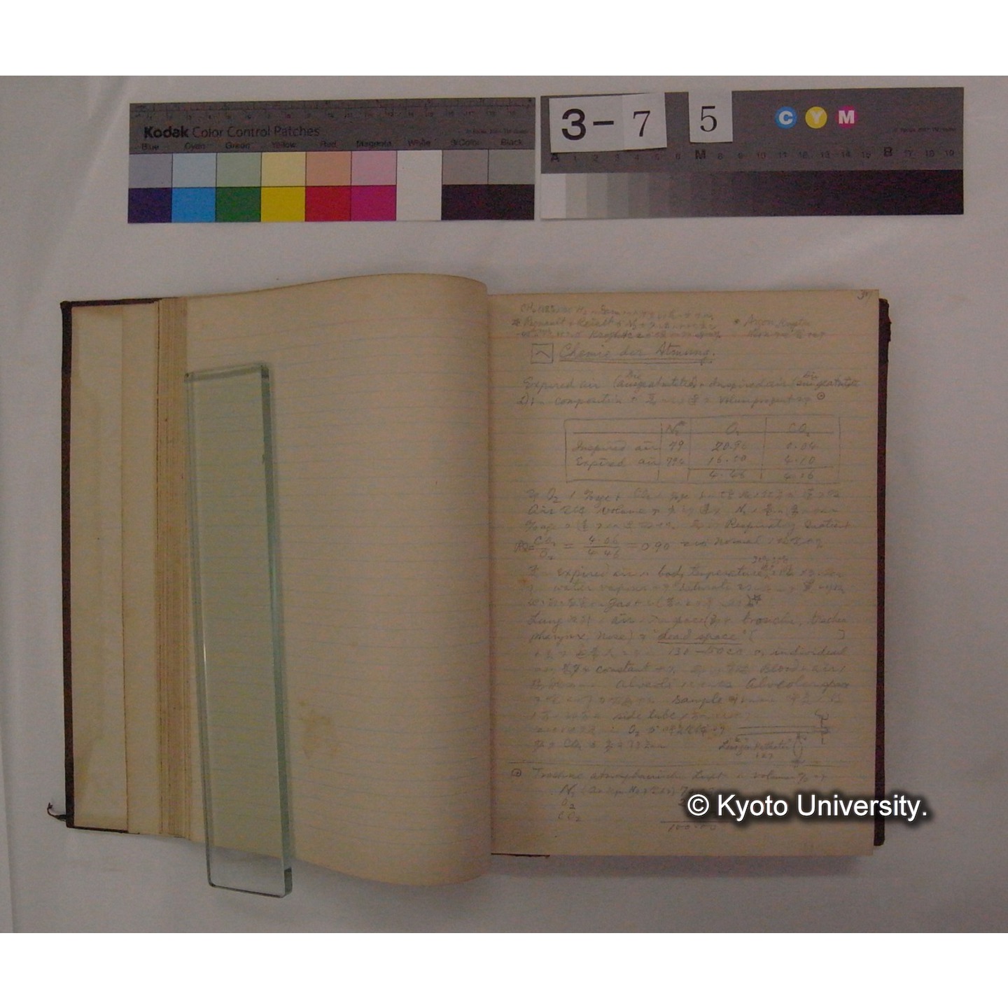 Vergleichende Physiologie (Band4: Respiration) (比較生理学 巻4 呼吸) [翻訳ノート製本か] (9)