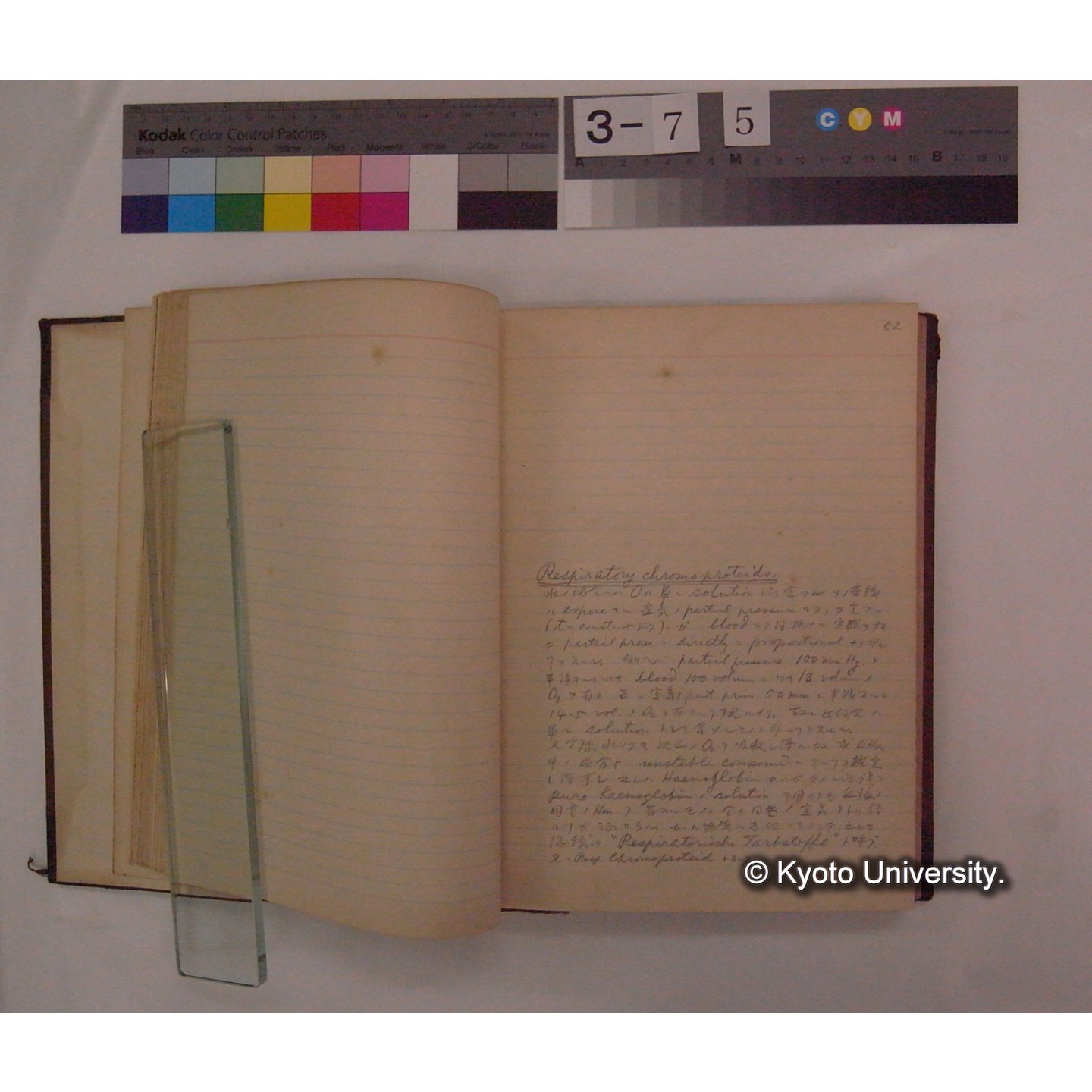 Vergleichende Physiologie (Band4: Respiration) (比較生理学 巻4 呼吸) [翻訳ノート製本か] (10)