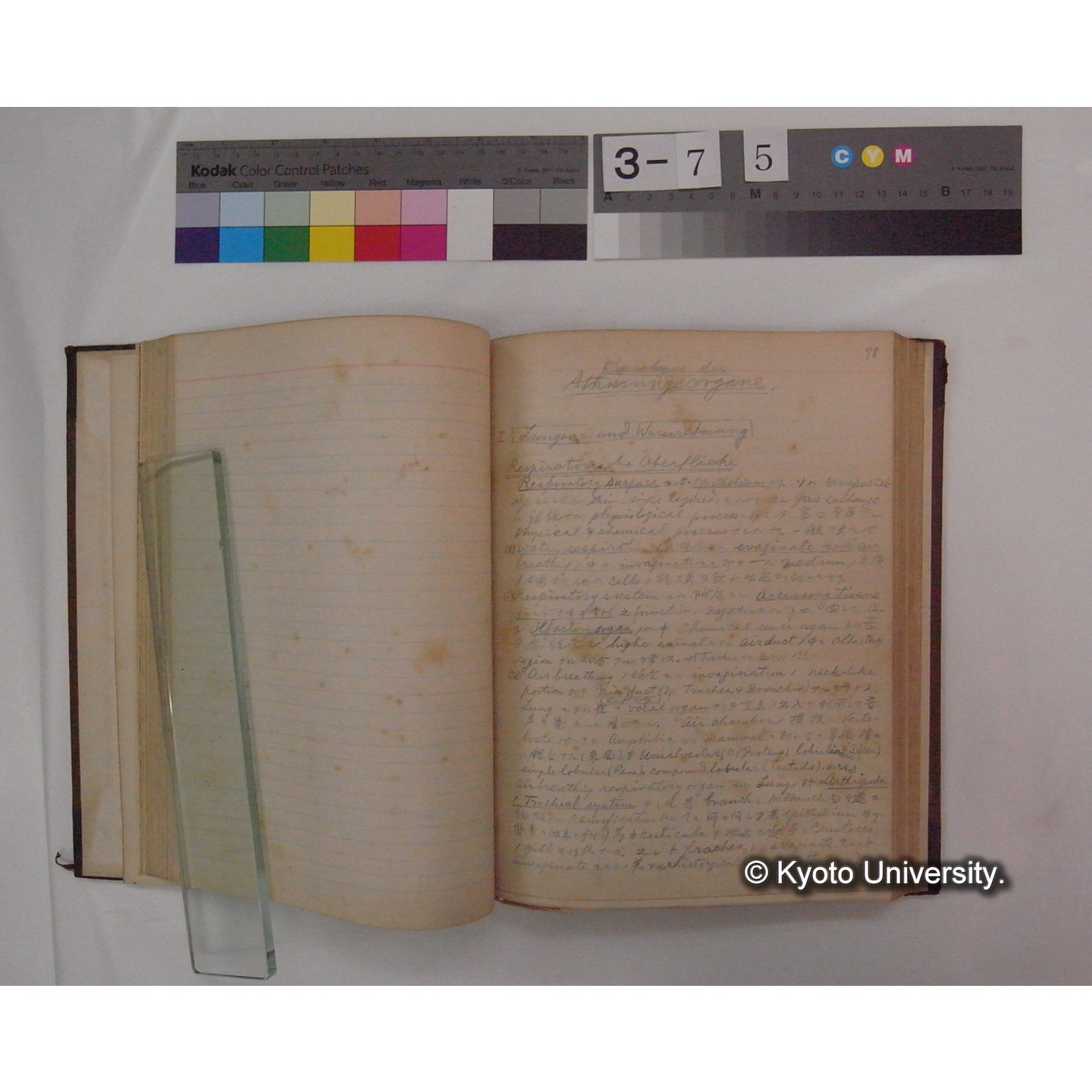 Vergleichende Physiologie (Band4: Respiration) (比較生理学 巻4 呼吸) [翻訳ノート製本か] (11)