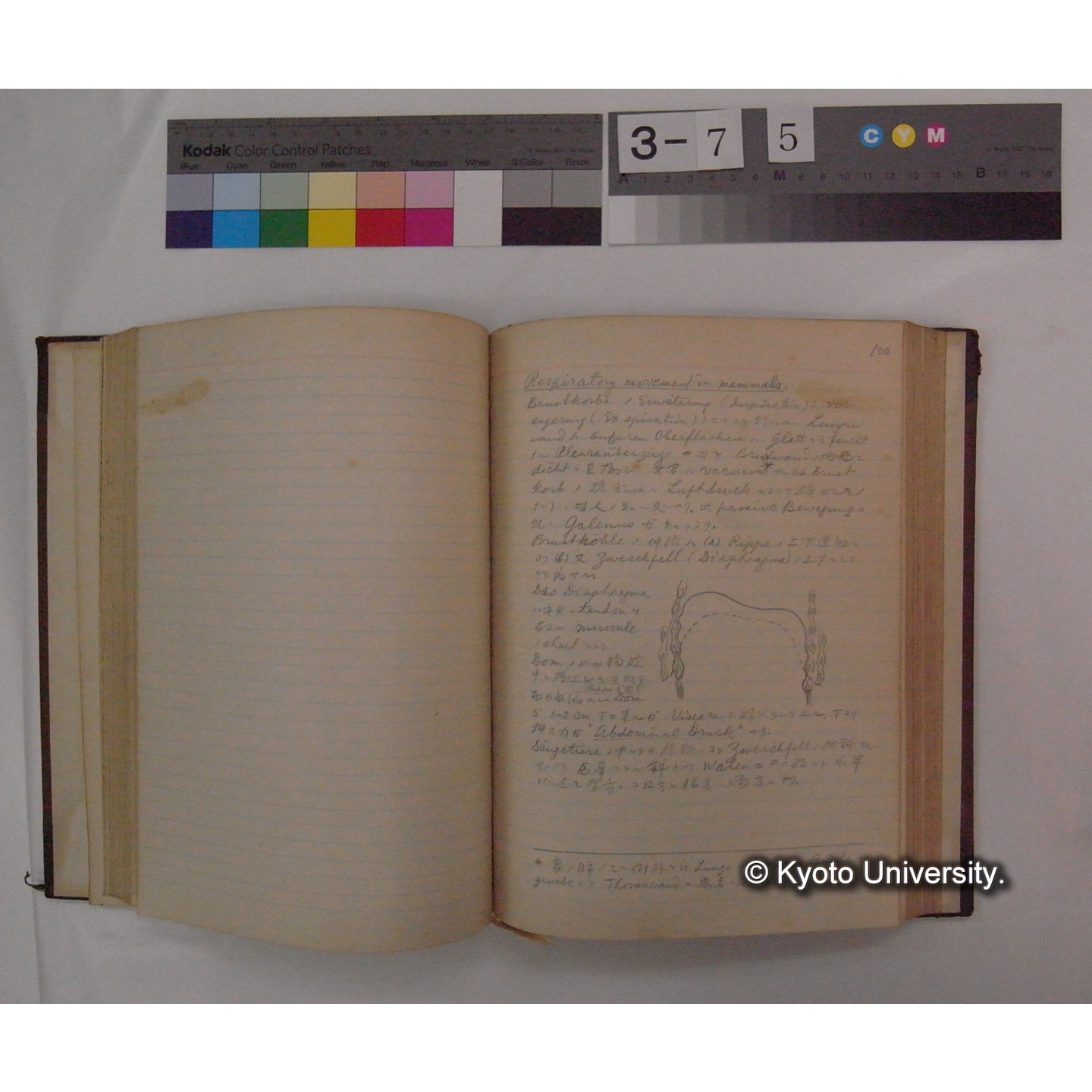 Vergleichende Physiologie (Band4: Respiration) (比較生理学 巻4 呼吸) [翻訳ノート製本か] (13)