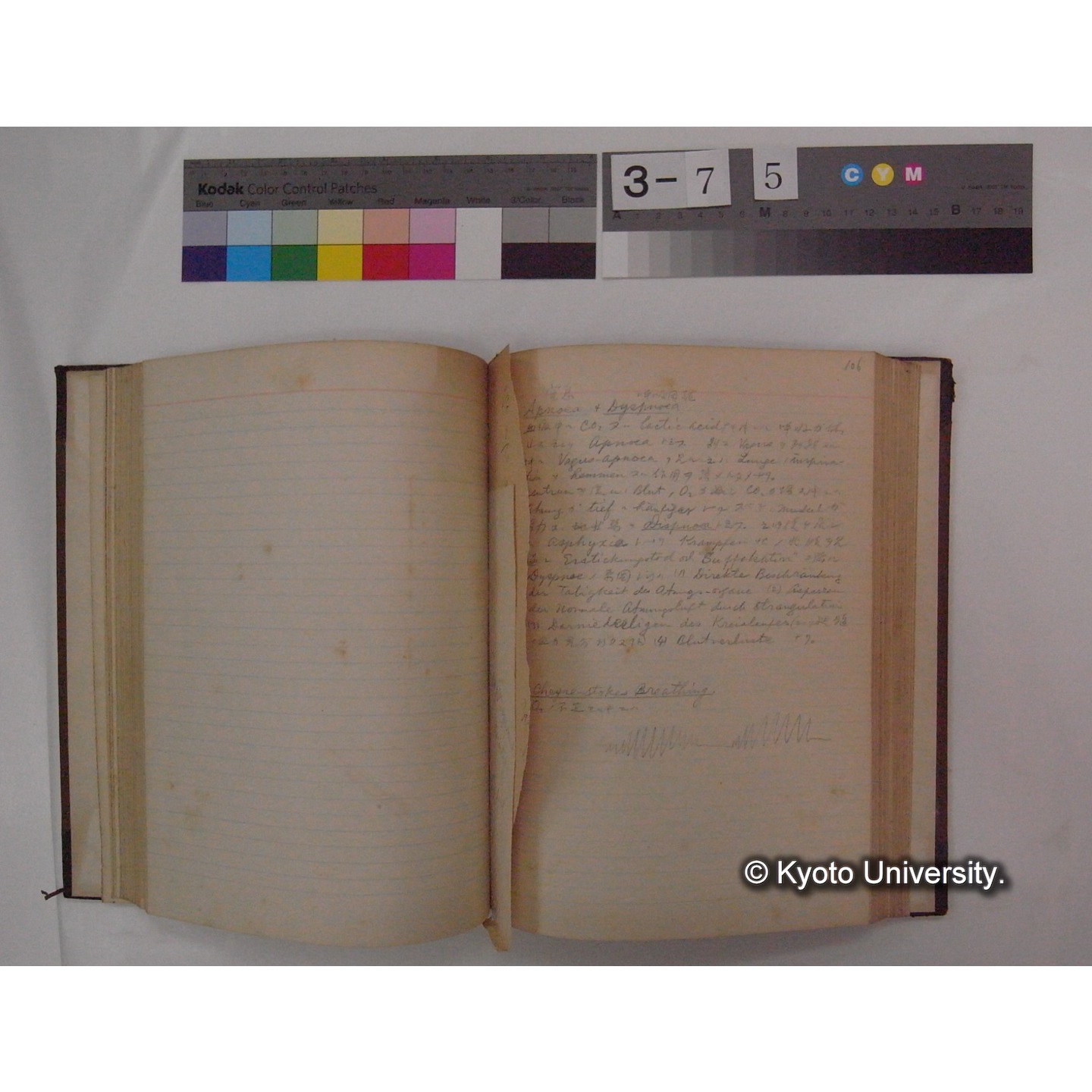 Vergleichende Physiologie (Band4: Respiration) (比較生理学 巻4 呼吸) [翻訳ノート製本か] (14)