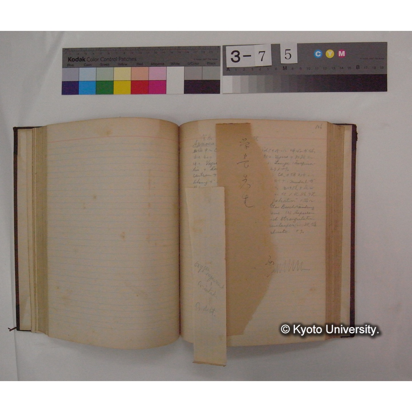 Vergleichende Physiologie (Band4: Respiration) (比較生理学 巻4 呼吸) [翻訳ノート製本か] (15)