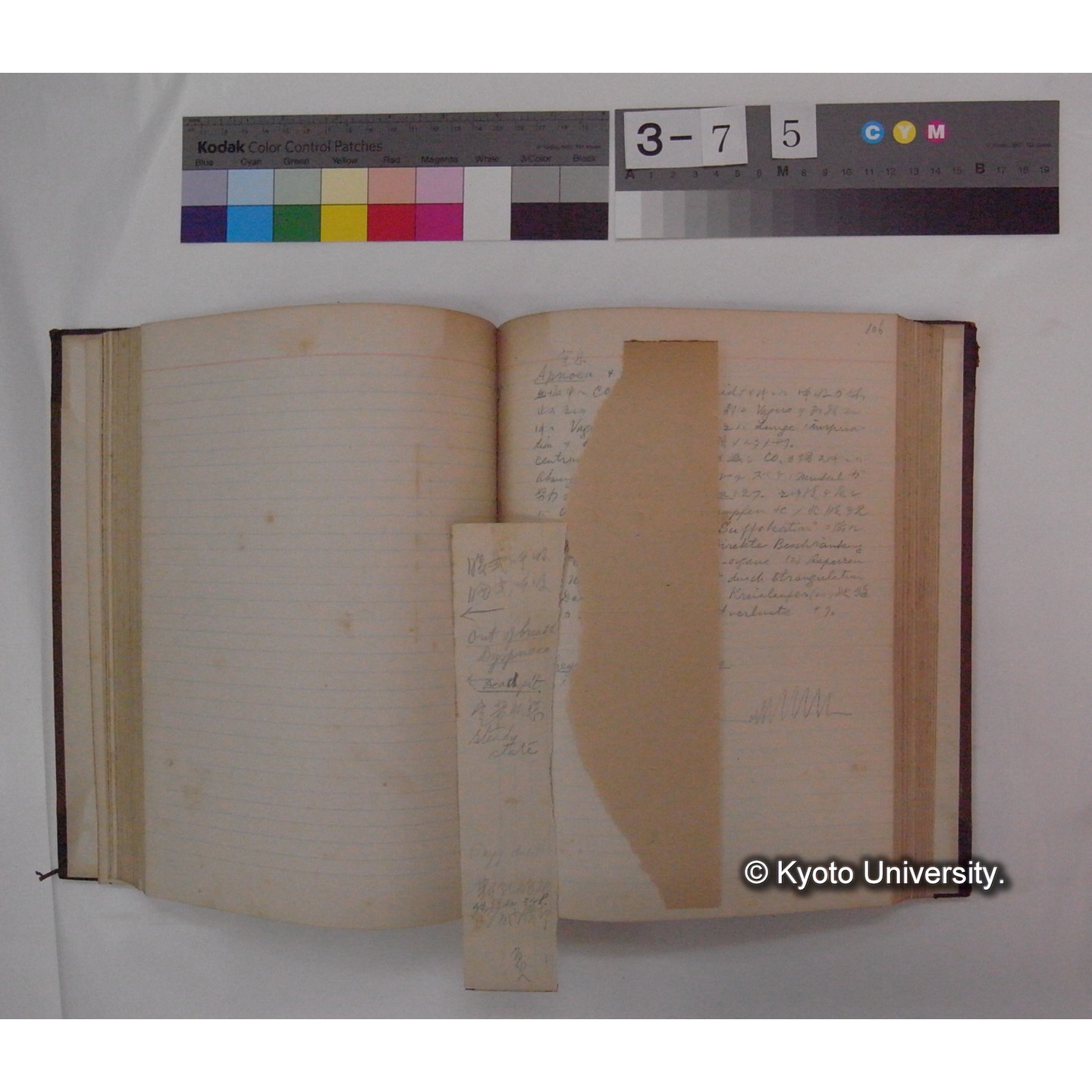 Vergleichende Physiologie (Band4: Respiration) (比較生理学 巻4 呼吸) [翻訳ノート製本か] (16)