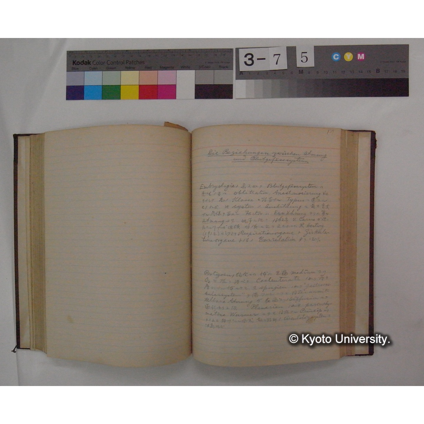 Vergleichende Physiologie (Band4: Respiration) (比較生理学 巻4 呼吸) [翻訳ノート製本か] (17)