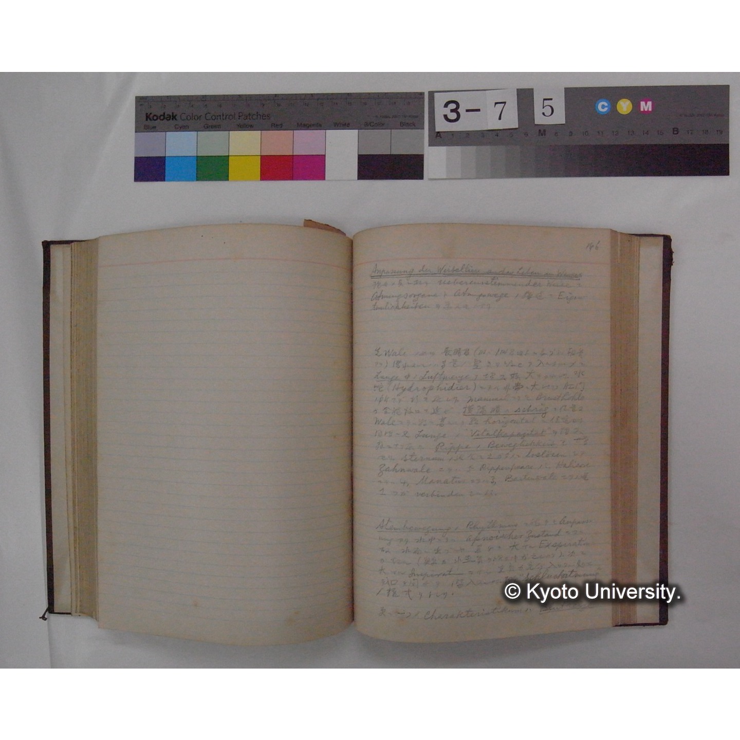 Vergleichende Physiologie (Band4: Respiration) (比較生理学 巻4 呼吸) [翻訳ノート製本か] (18)