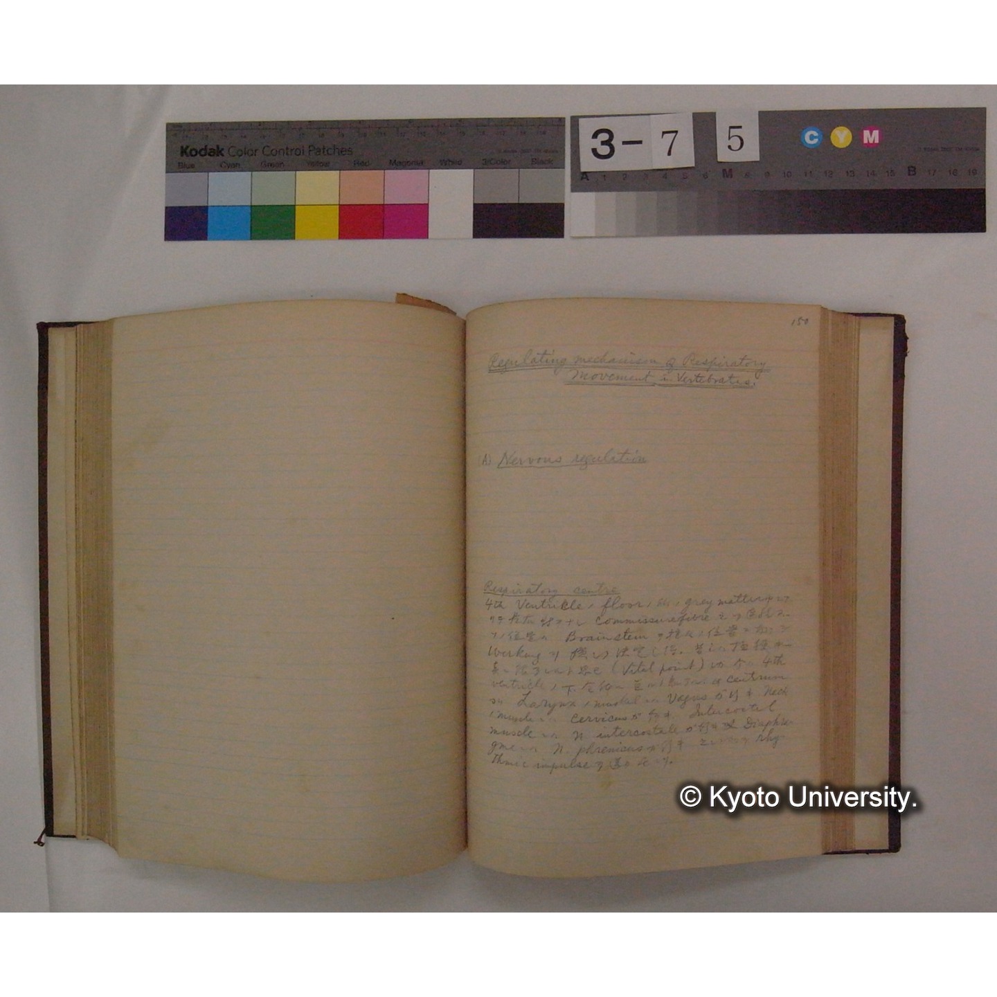 Vergleichende Physiologie (Band4: Respiration) (比較生理学 巻4 呼吸) [翻訳ノート製本か] (19)