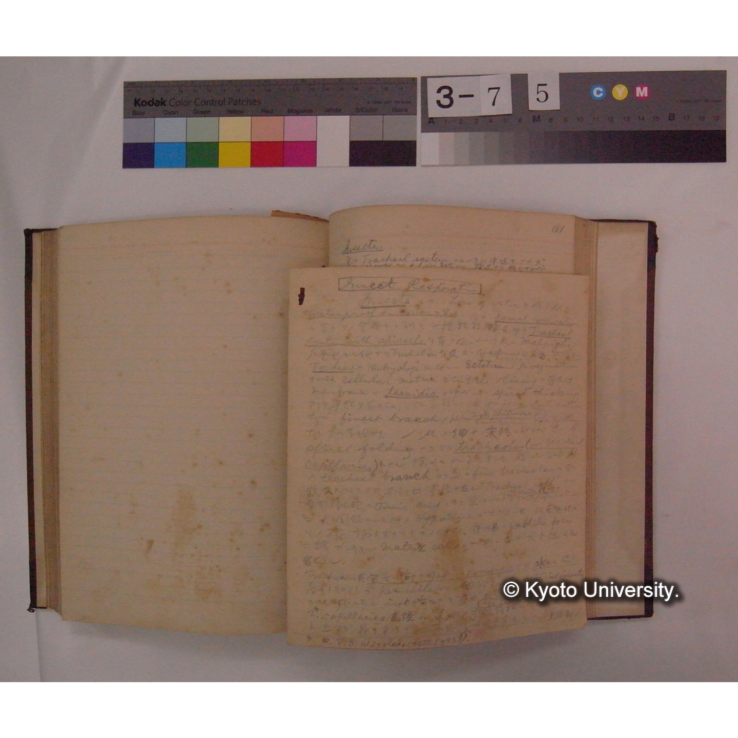 Vergleichende Physiologie (Band4: Respiration) (比較生理学 巻4 呼吸) [翻訳ノート製本か] (20)