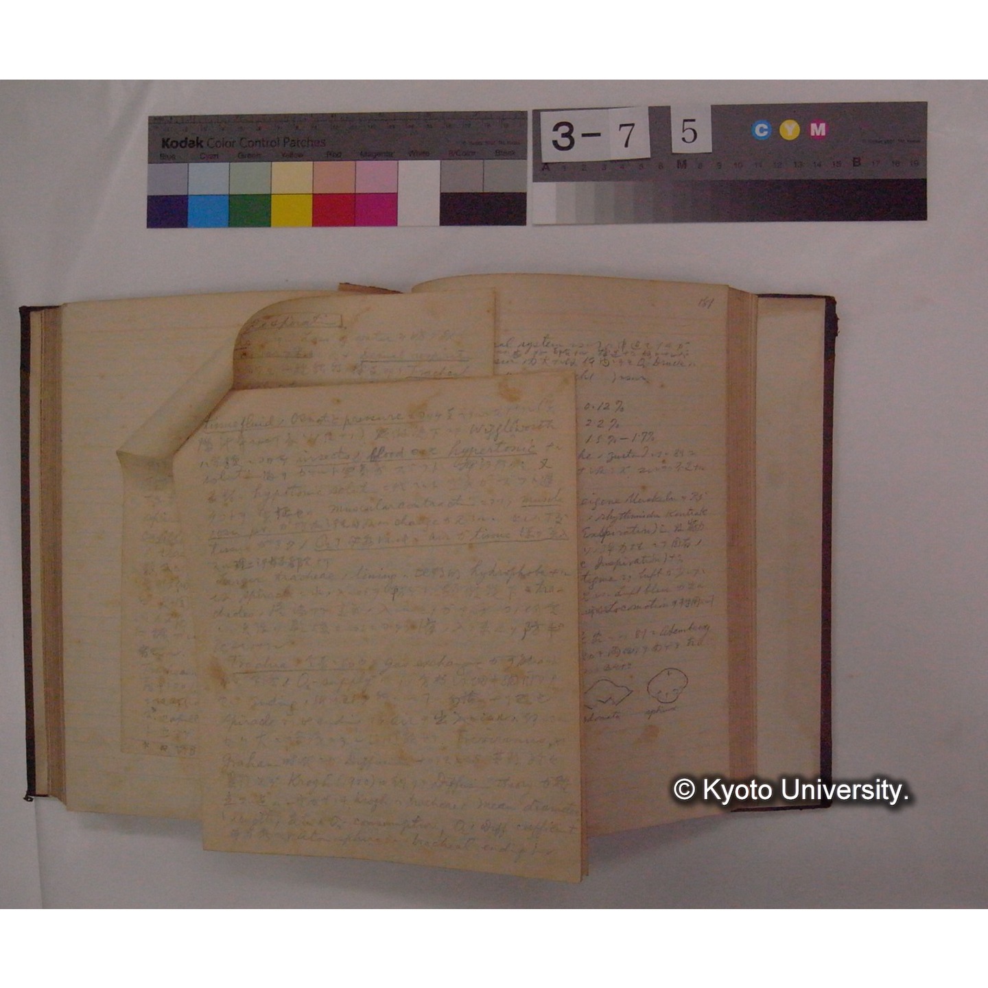 Vergleichende Physiologie (Band4: Respiration) (比較生理学 巻4 呼吸) [翻訳ノート製本か] (21)