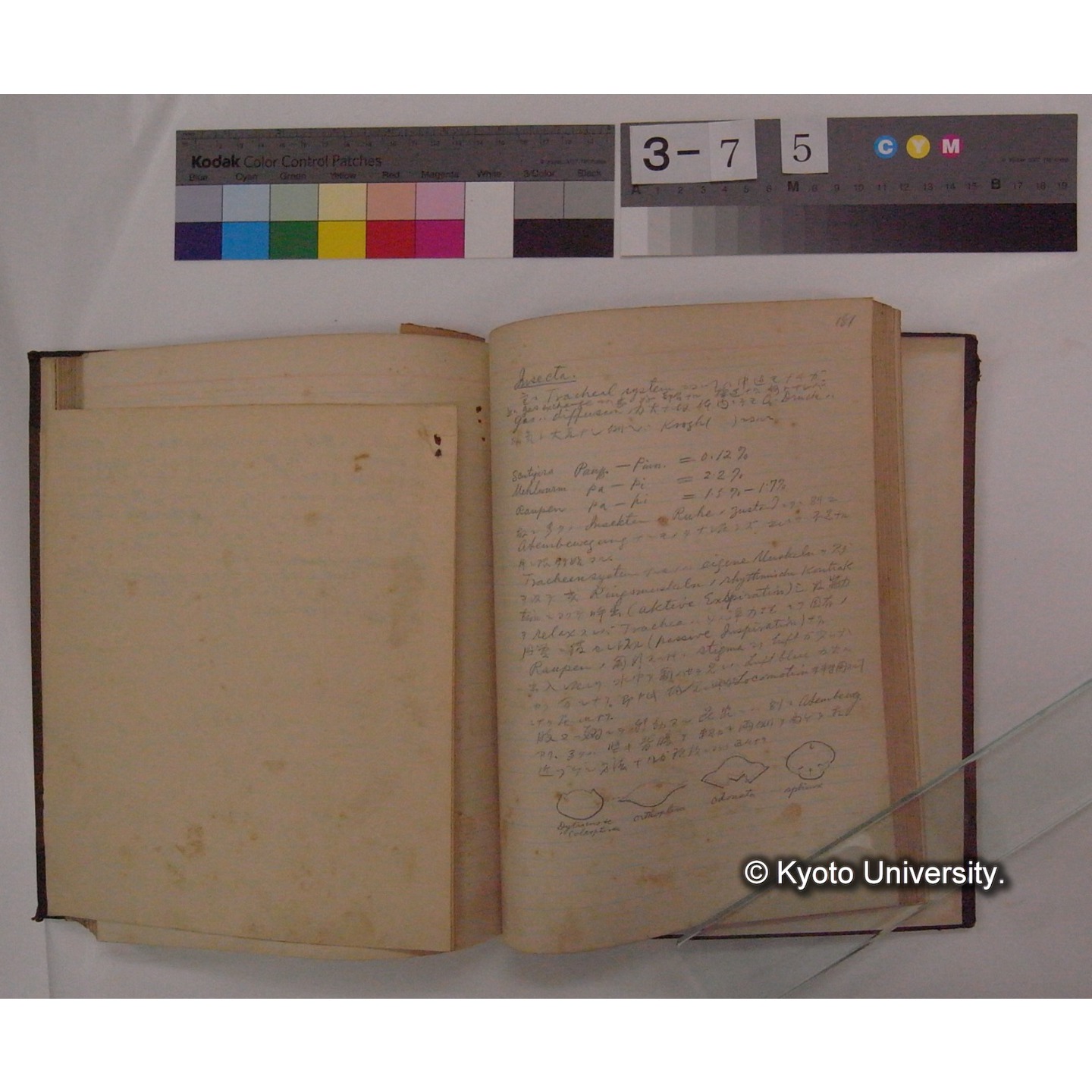 Vergleichende Physiologie (Band4: Respiration) (比較生理学 巻4 呼吸) [翻訳ノート製本か] (22)