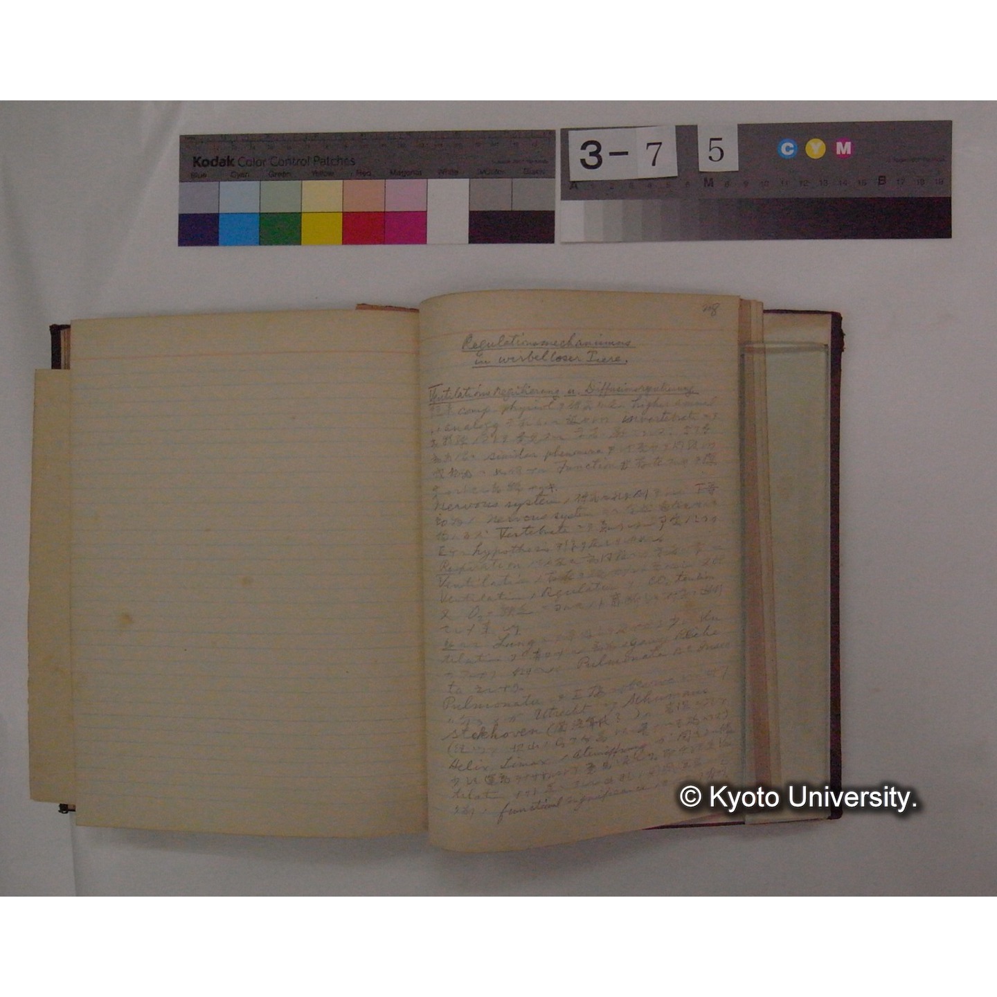 Vergleichende Physiologie (Band4: Respiration) (比較生理学 巻4 呼吸) [翻訳ノート製本か] (23)