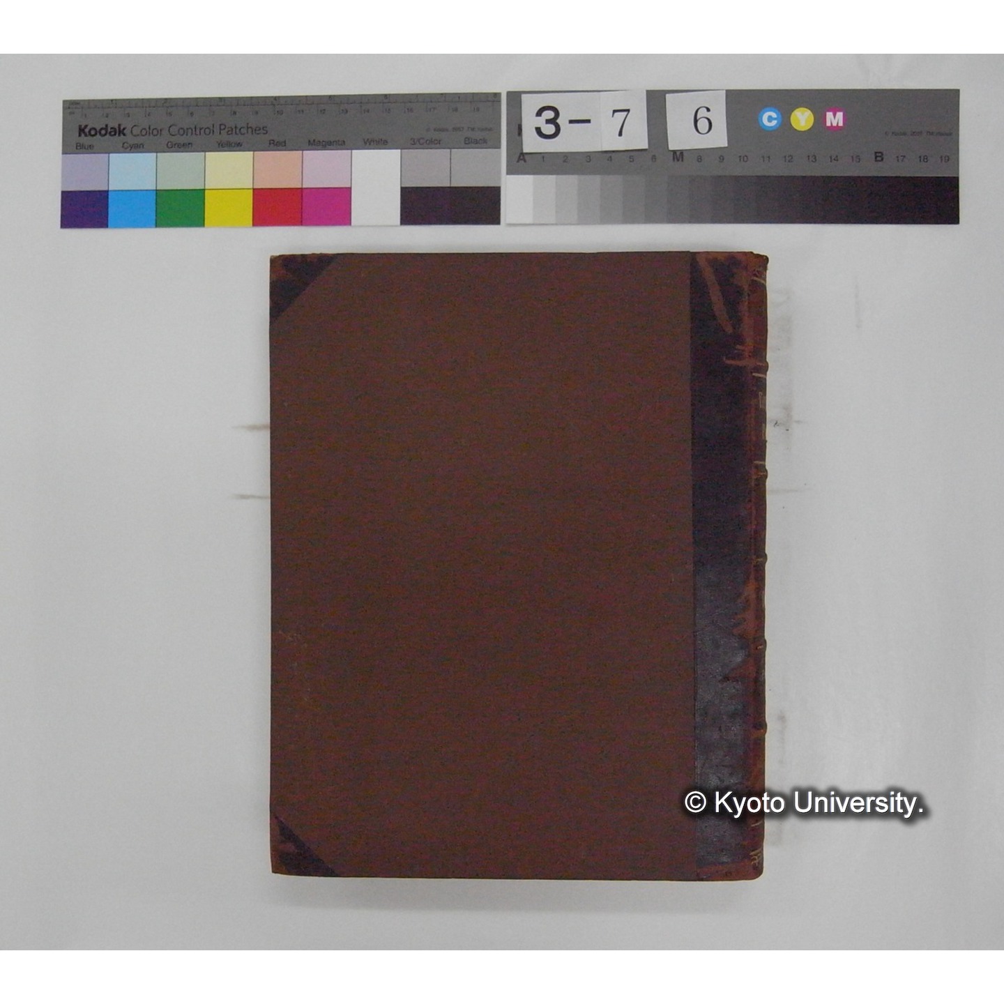 Vergleichende Physiologie (Band2: Physikalische Chemie) (比較生理学 巻2 物理化学) [翻訳ノート製本か] (3)