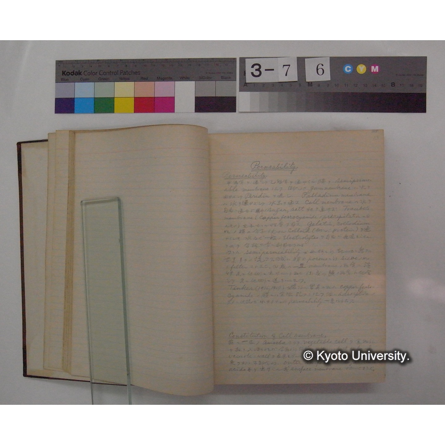 Vergleichende Physiologie (Band2: Physikalische Chemie) (比較生理学 巻2 物理化学) [翻訳ノート製本か] (7)