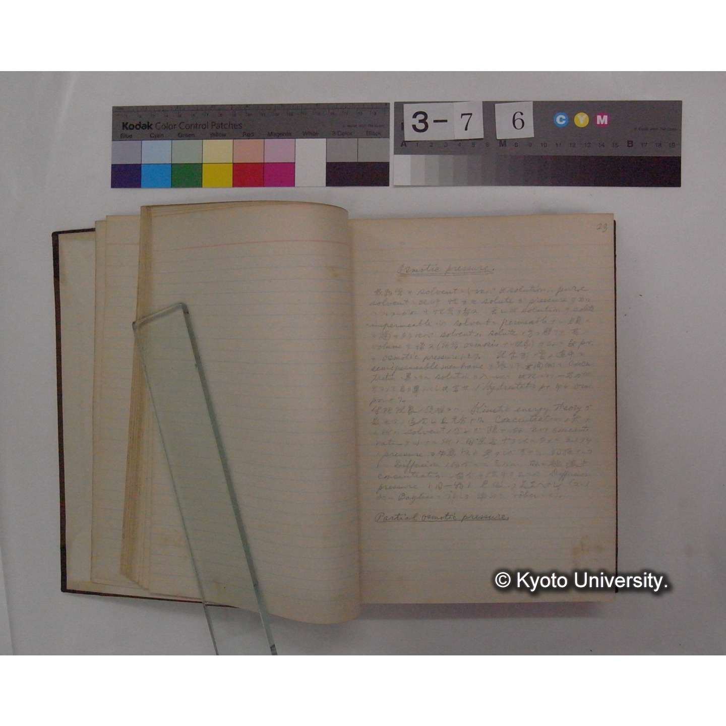 Vergleichende Physiologie (Band2: Physikalische Chemie) (比較生理学 巻2 物理化学) [翻訳ノート製本か] (8)