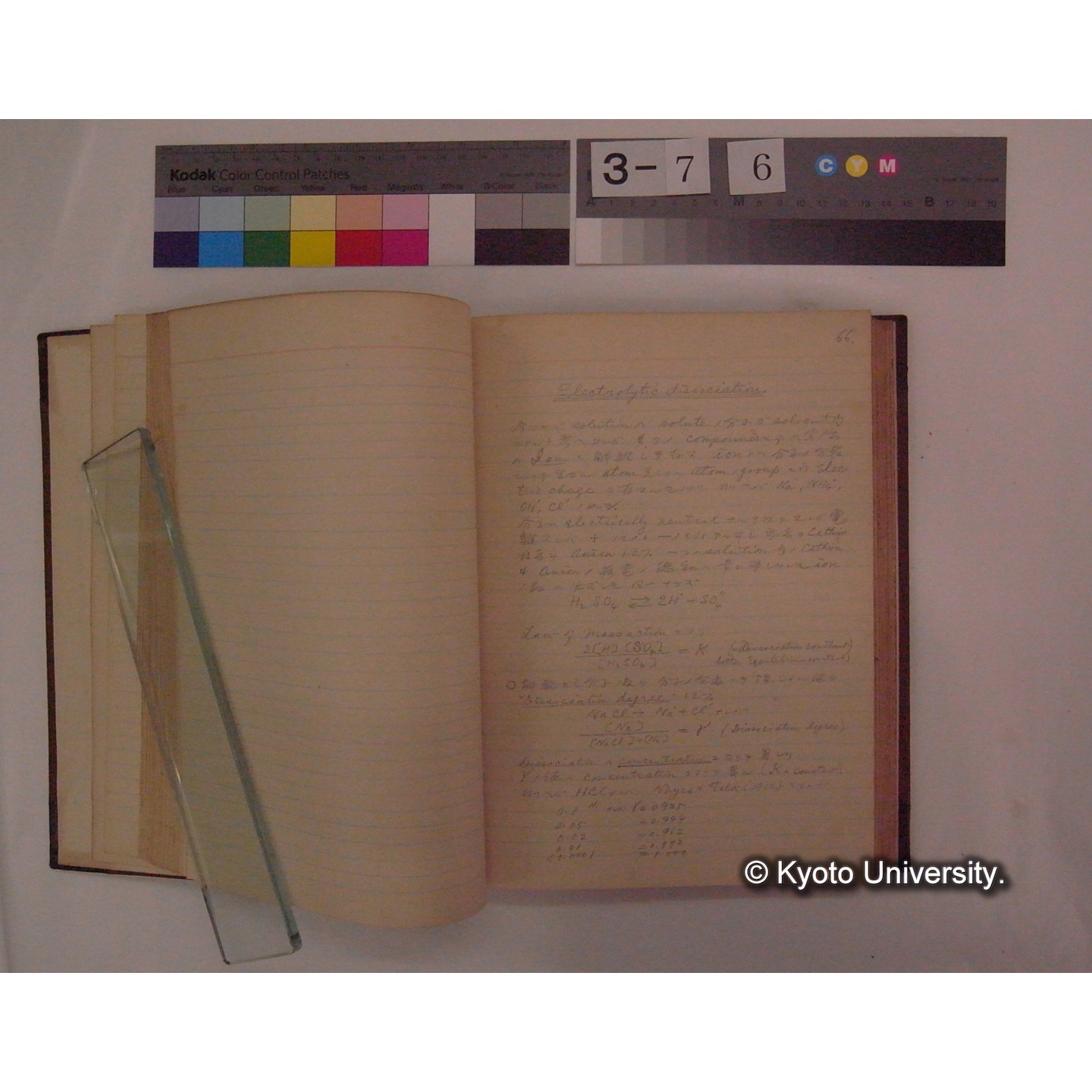 Vergleichende Physiologie (Band2: Physikalische Chemie) (比較生理学 巻2 物理化学) [翻訳ノート製本か] (10)