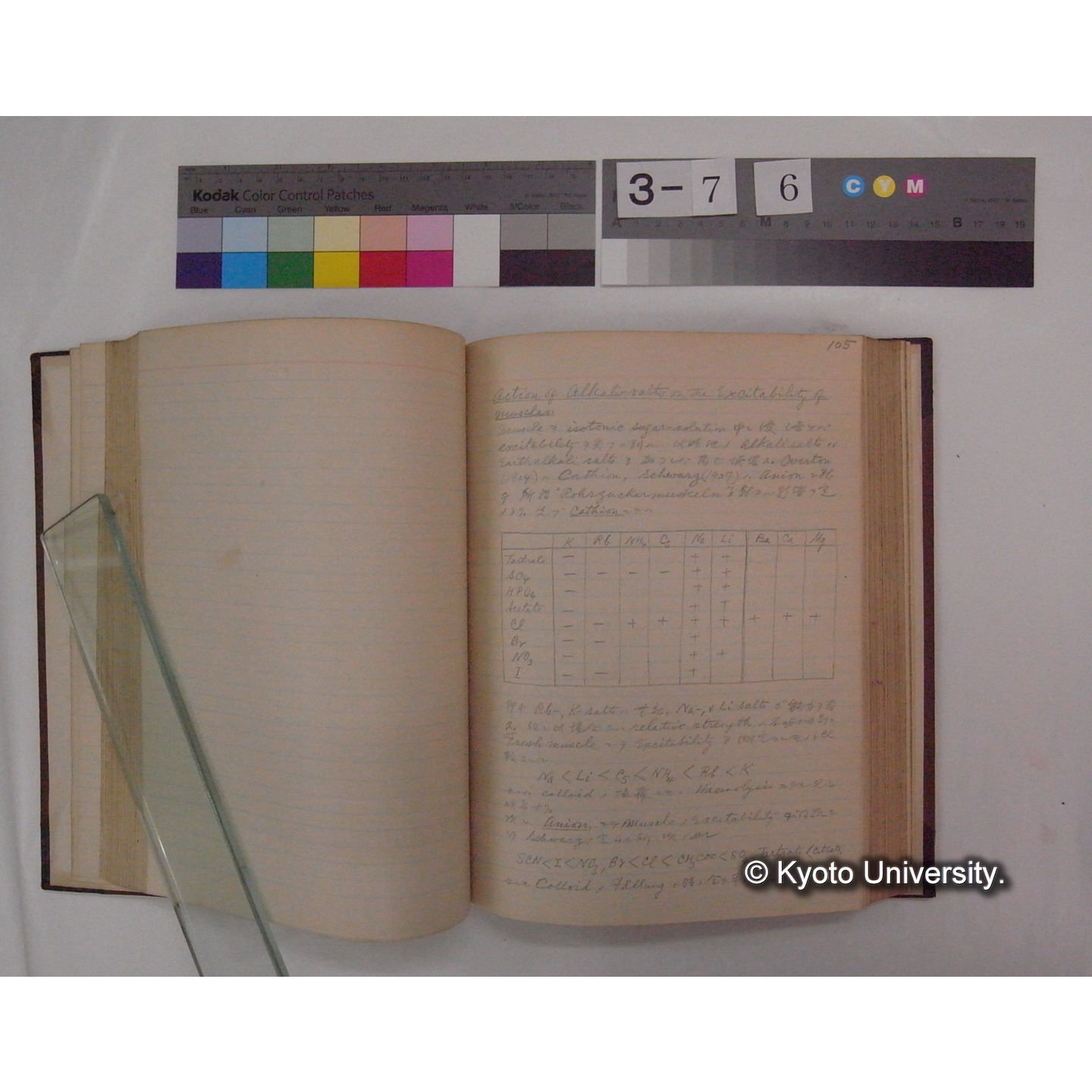 Vergleichende Physiologie (Band2: Physikalische Chemie) (比較生理学 巻2 物理化学) [翻訳ノート製本か] (12)