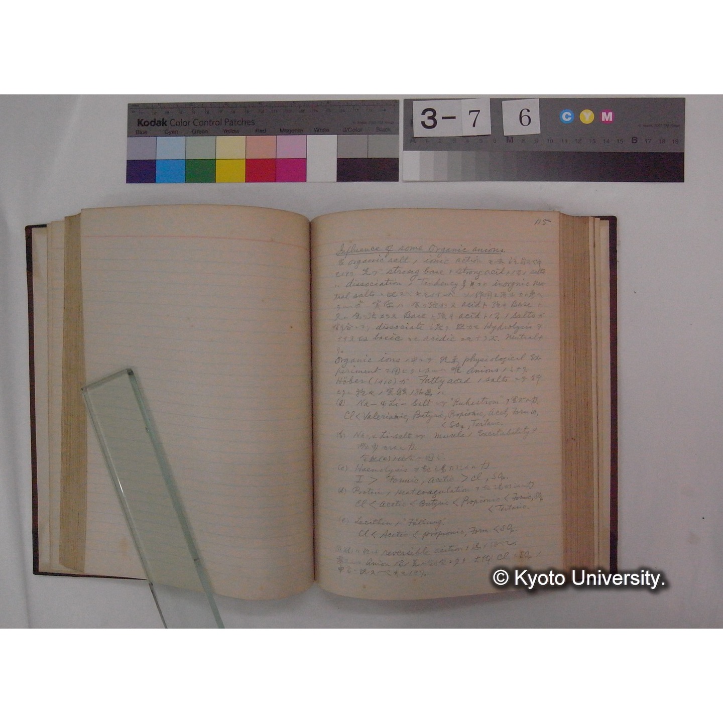 Vergleichende Physiologie (Band2: Physikalische Chemie) (比較生理学 巻2 物理化学) [翻訳ノート製本か] (13)