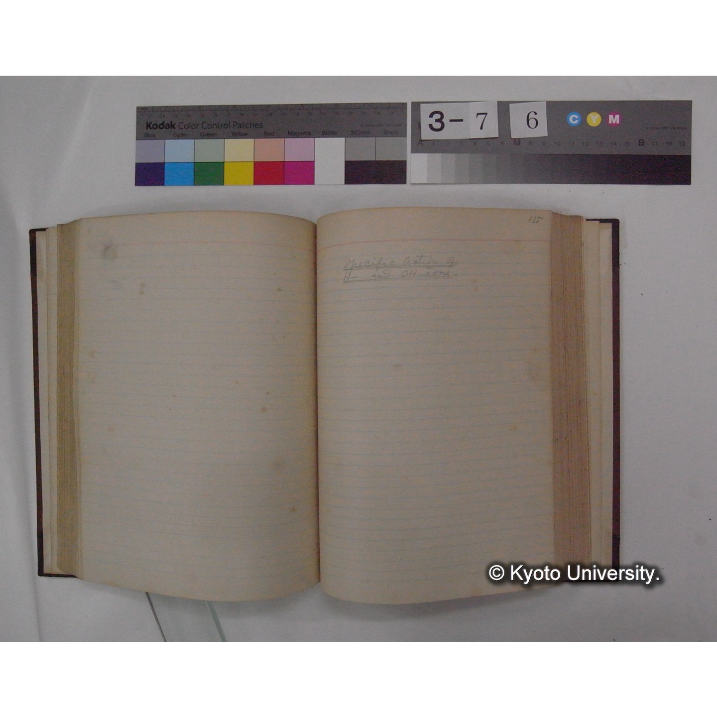 Vergleichende Physiologie (Band2: Physikalische Chemie) (比較生理学 巻2 物理化学) [翻訳ノート製本か] (14)