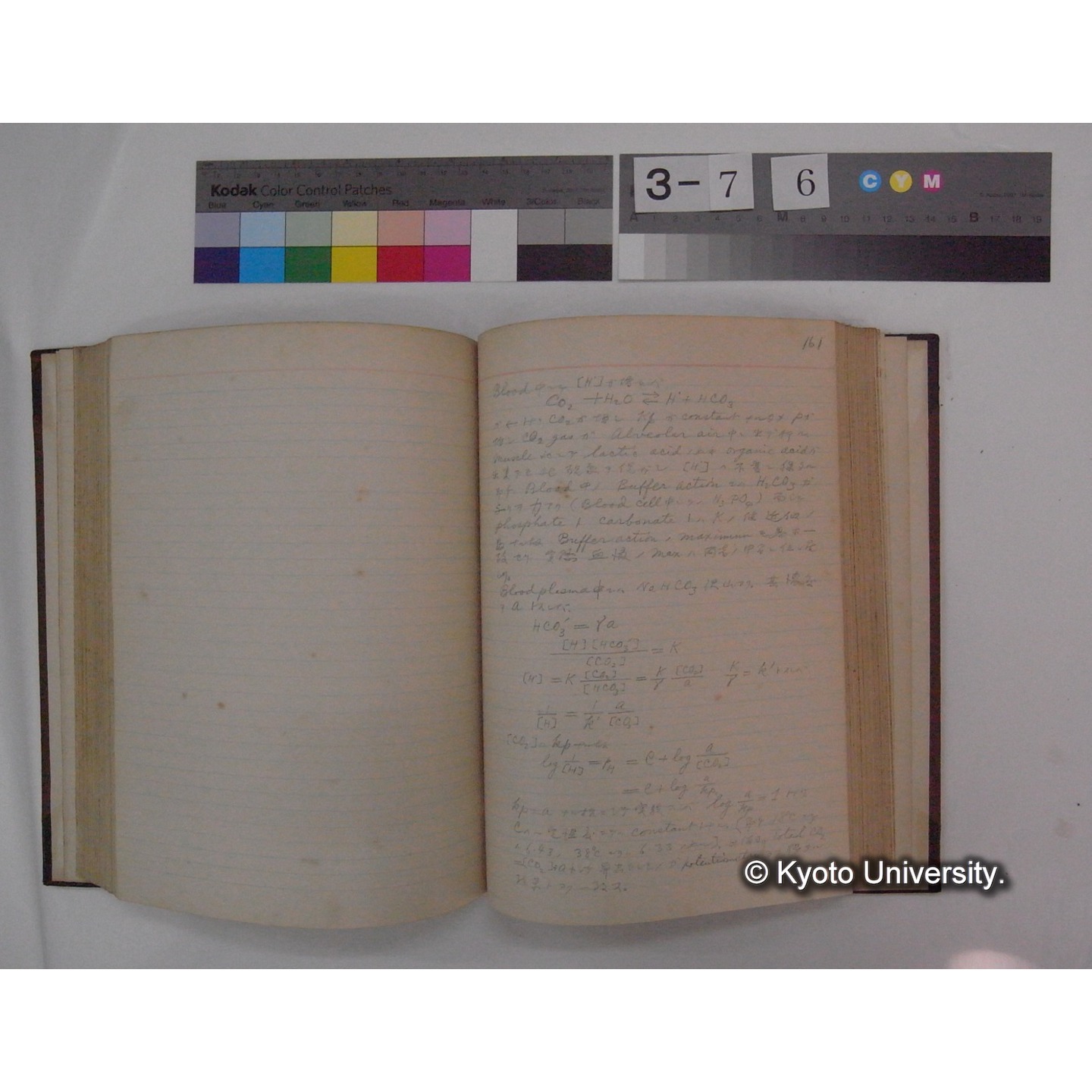 Vergleichende Physiologie (Band2: Physikalische Chemie) (比較生理学 巻2 物理化学) [翻訳ノート製本か] (16)