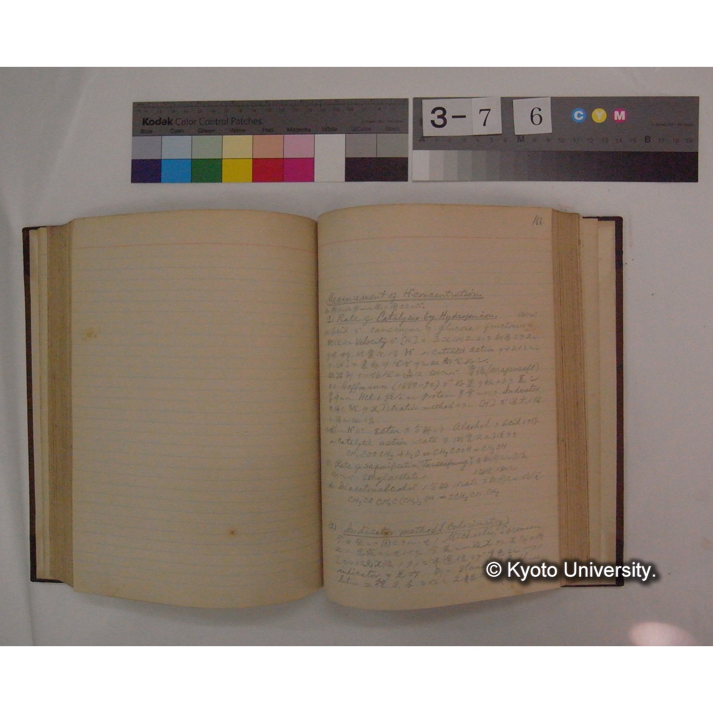 Vergleichende Physiologie (Band2: Physikalische Chemie) (比較生理学 巻2 物理化学) [翻訳ノート製本か] (17)