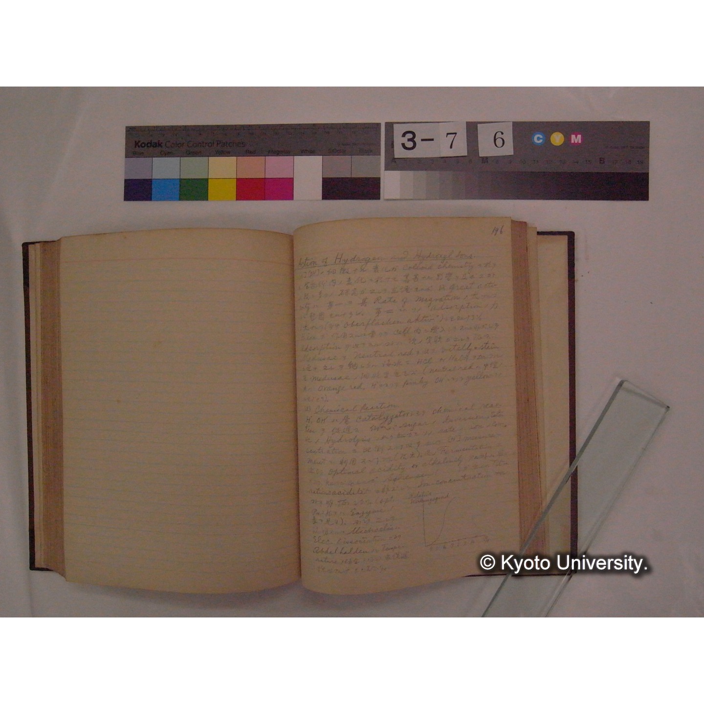 Vergleichende Physiologie (Band2: Physikalische Chemie) (比較生理学 巻2 物理化学) [翻訳ノート製本か] (19)