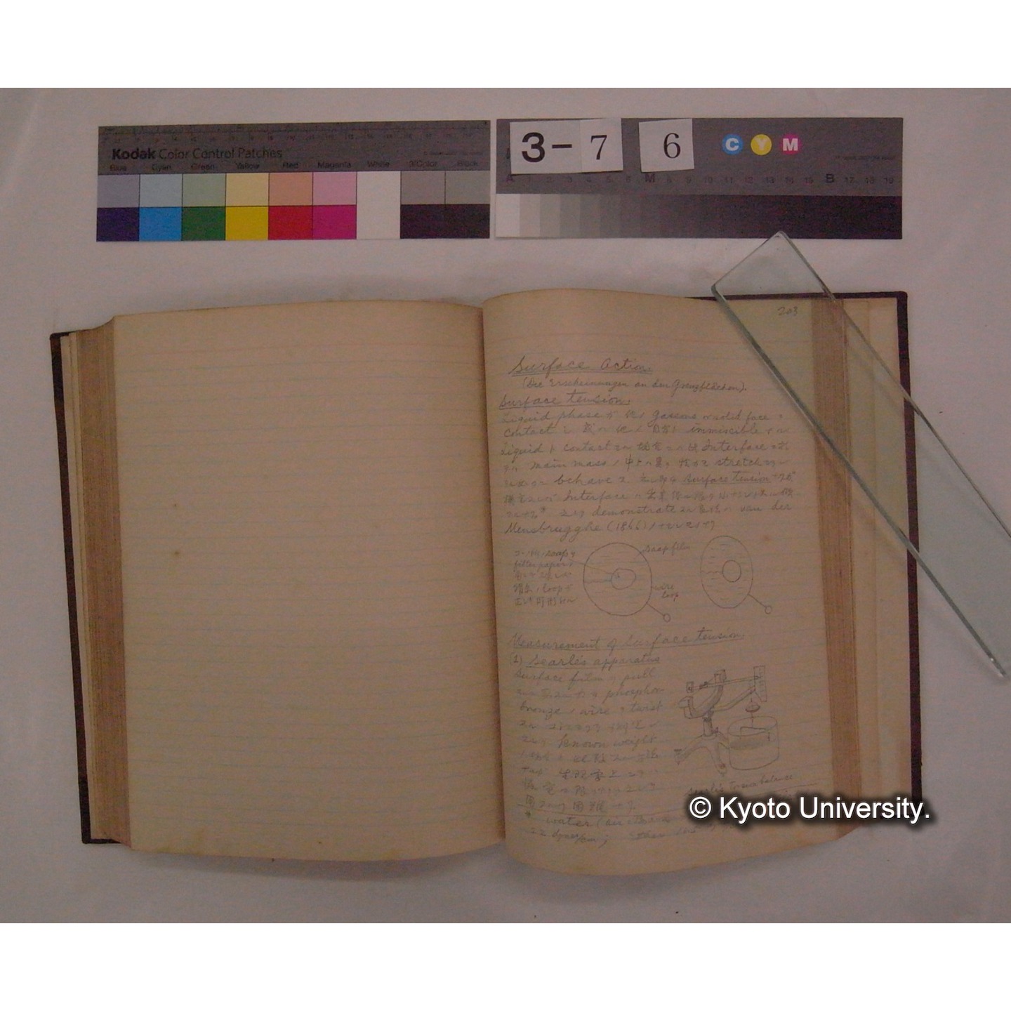 Vergleichende Physiologie (Band2: Physikalische Chemie) (比較生理学 巻2 物理化学) [翻訳ノート製本か] (20)