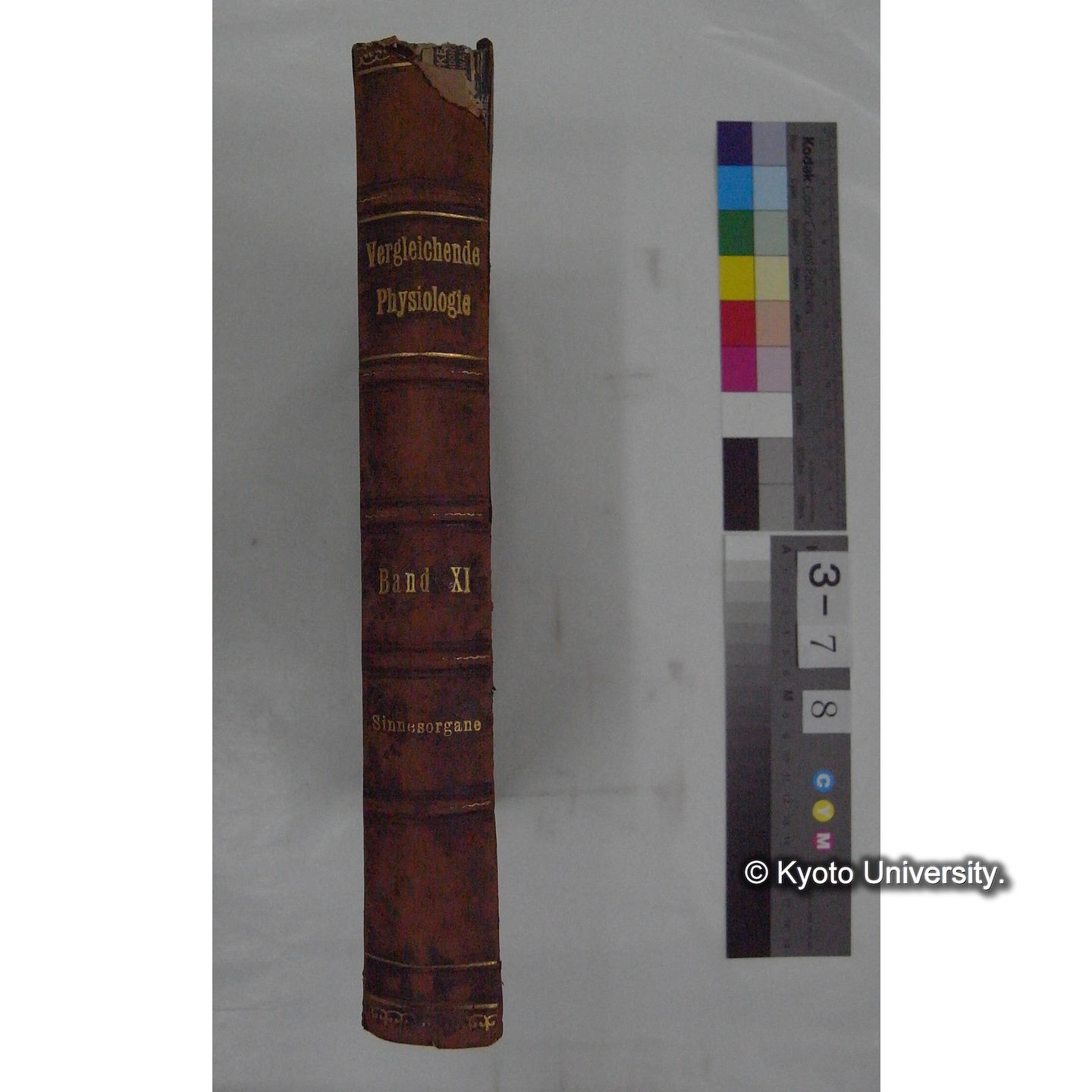 Vergleichende Physiologie (Band11: Sinnersorgane) (比較生理学 巻11 感覚器官) [翻訳ノート製本か] (1)